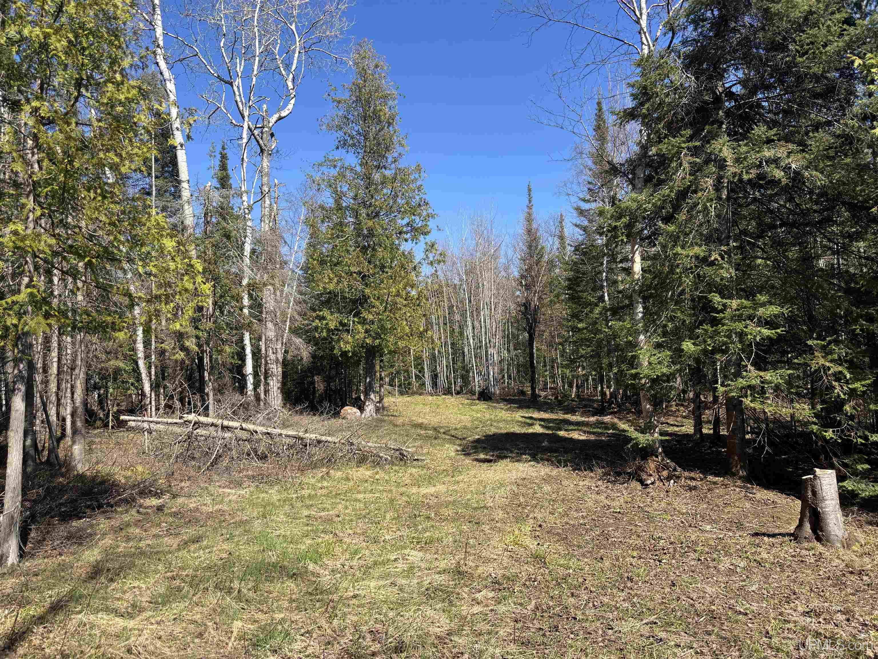56230 Bear Lake Road Property Photo 49