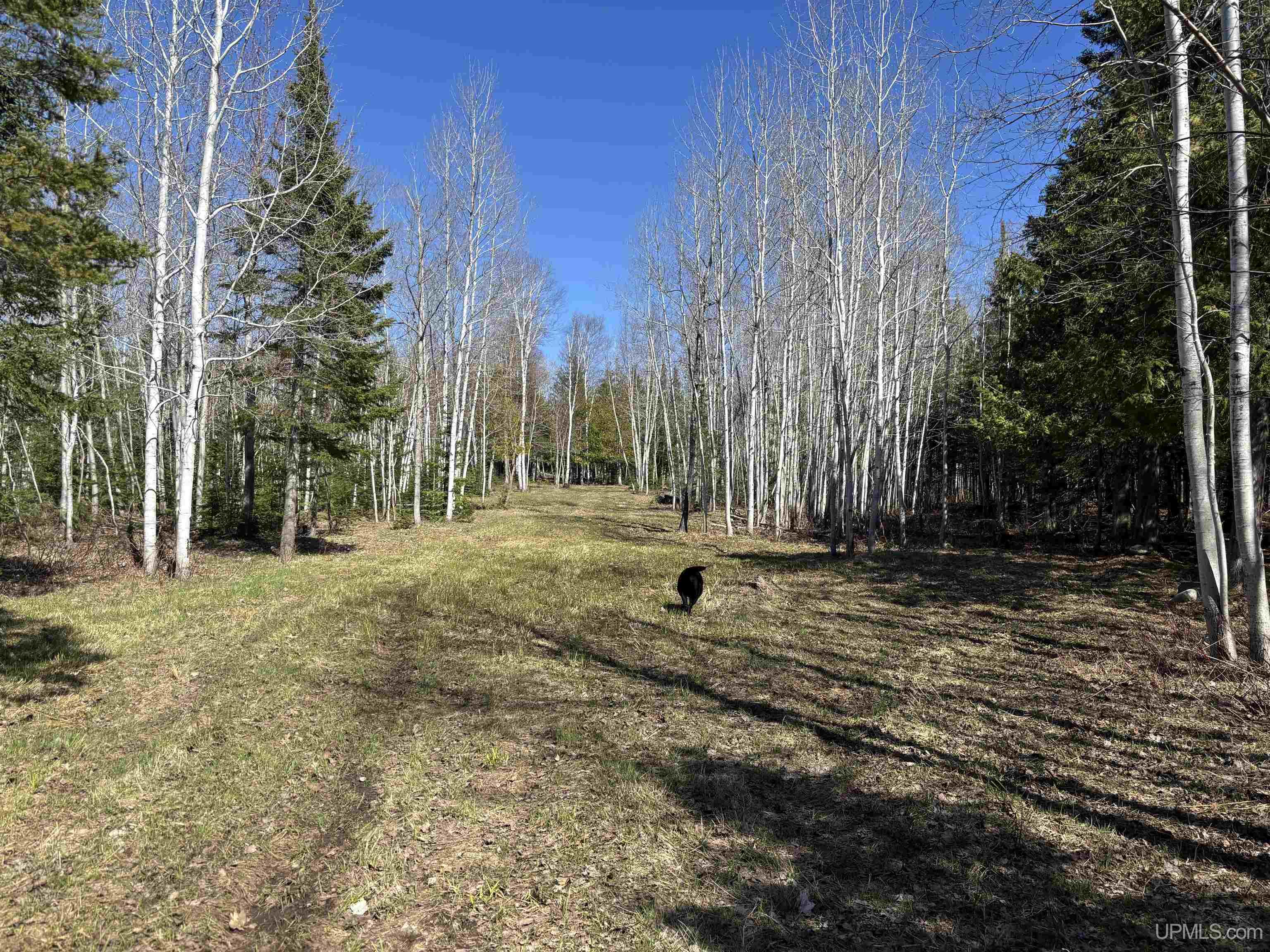 56230 Bear Lake Road Property Photo 50