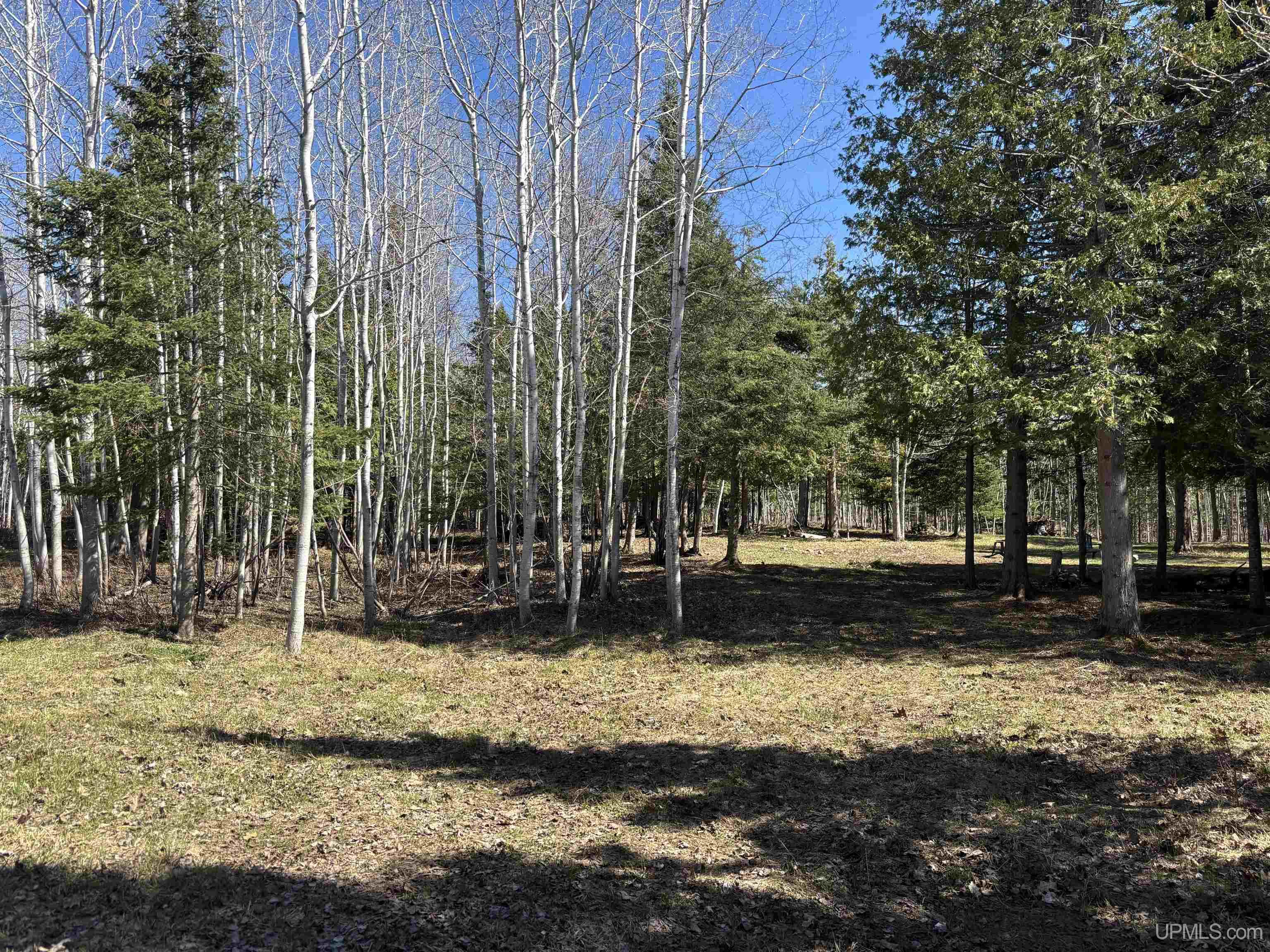 56230 Bear Lake Road Property Photo 51