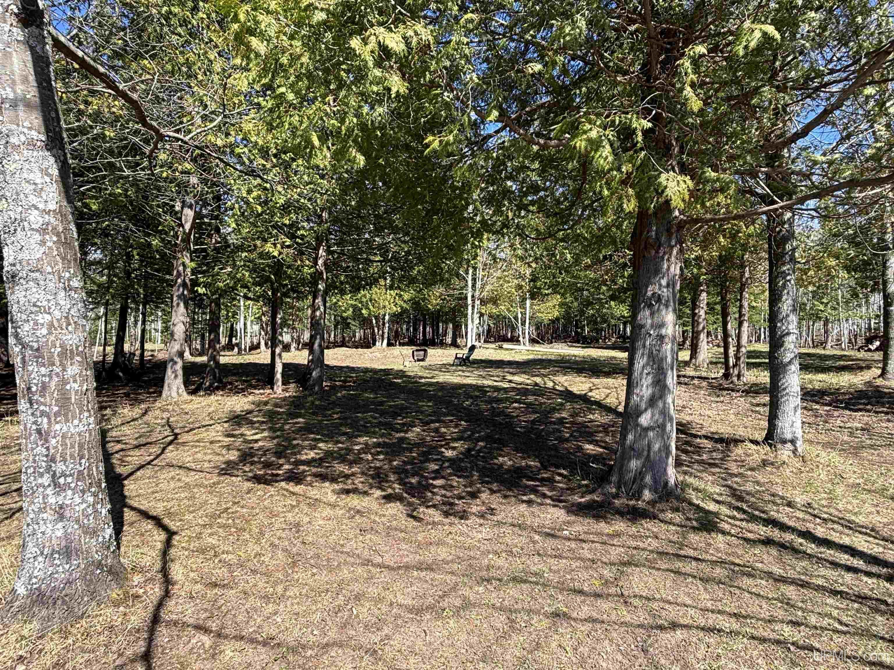 56230 Bear Lake Road Property Photo 56