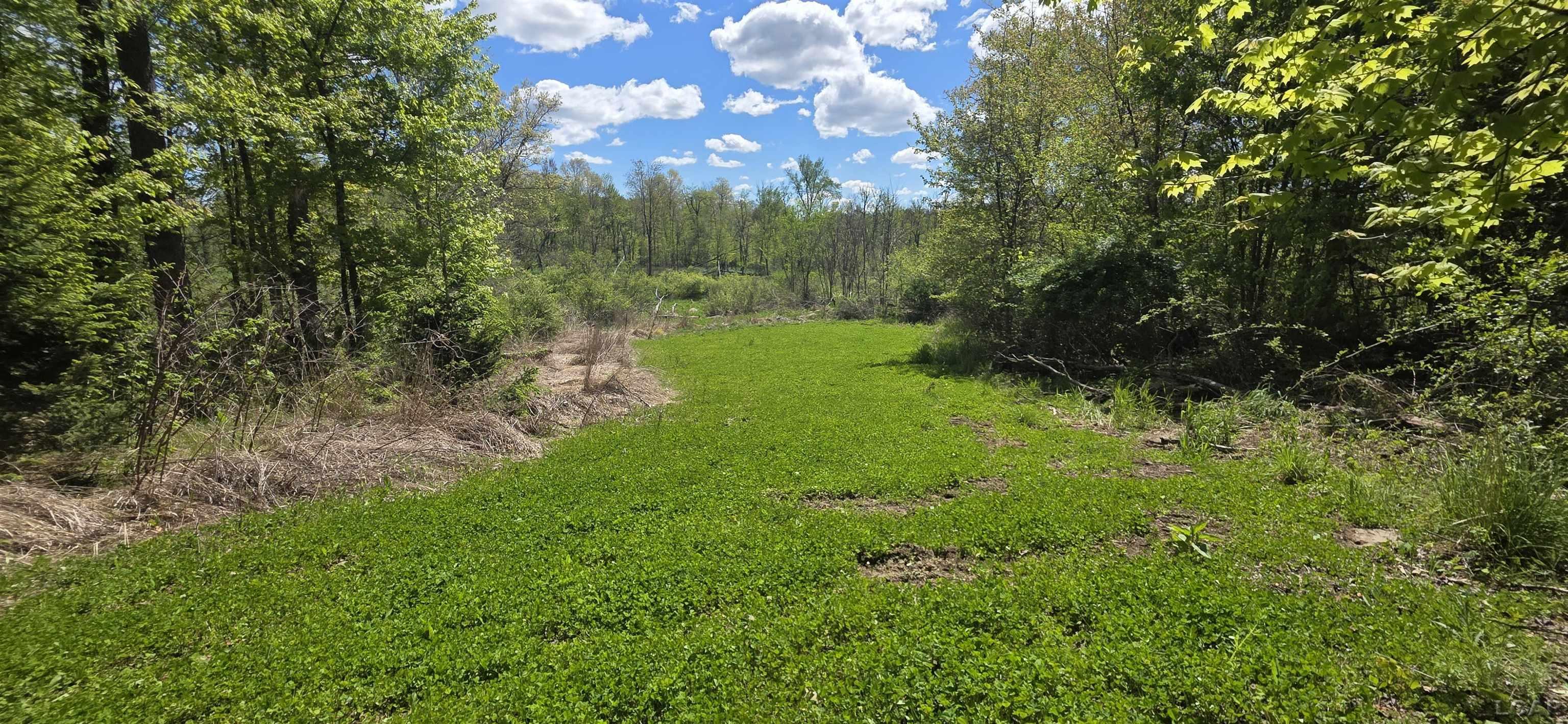 15252 27 Mile Road Property Photo 2