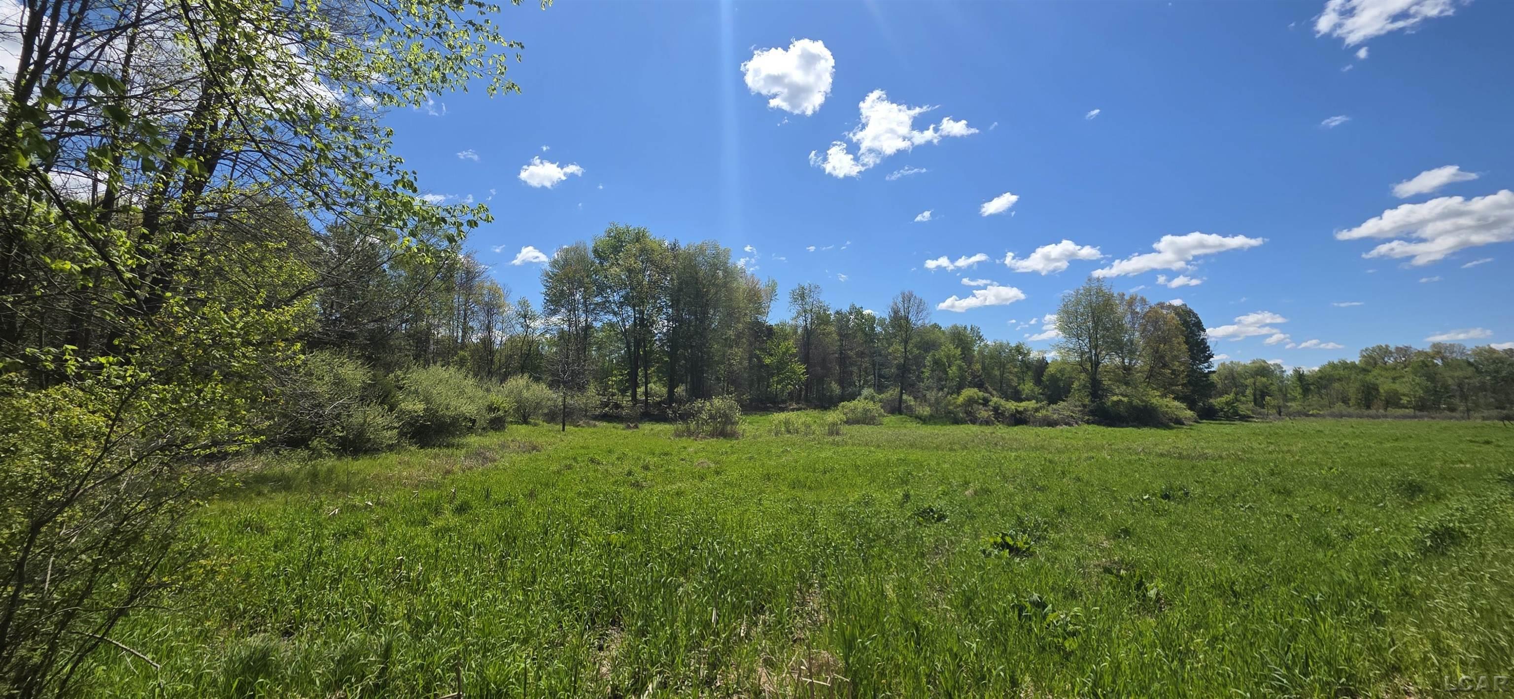 15252 27 Mile Road Property Photo 6
