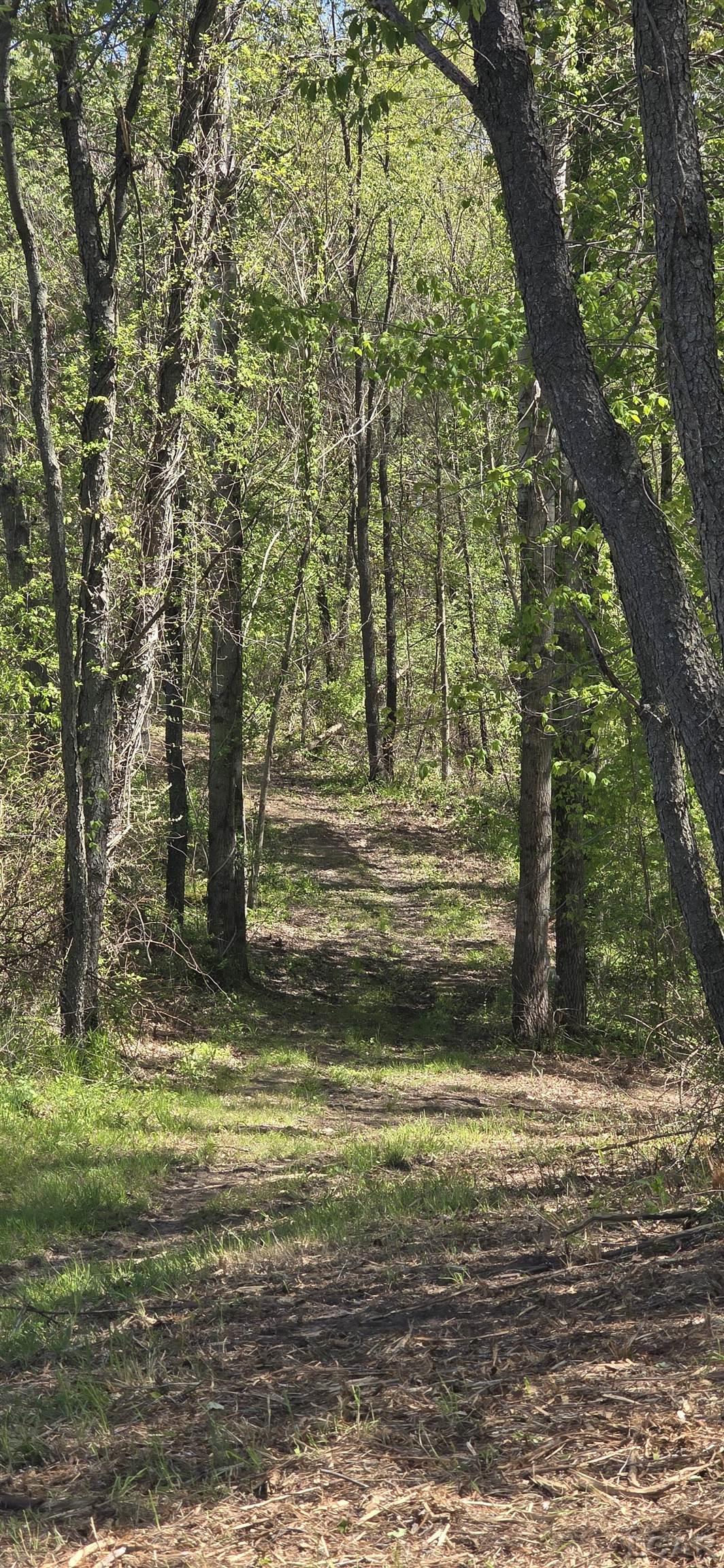 15252 27 Mile Road Property Photo 8
