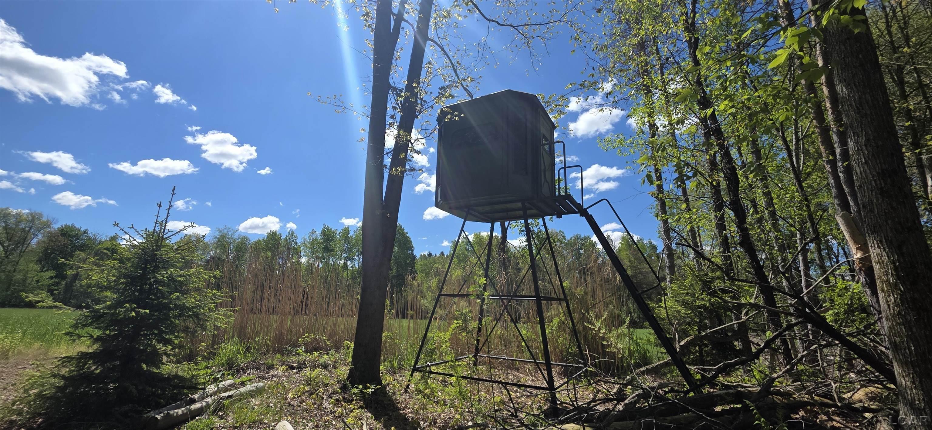 15252 27 Mile Road Property Photo 9