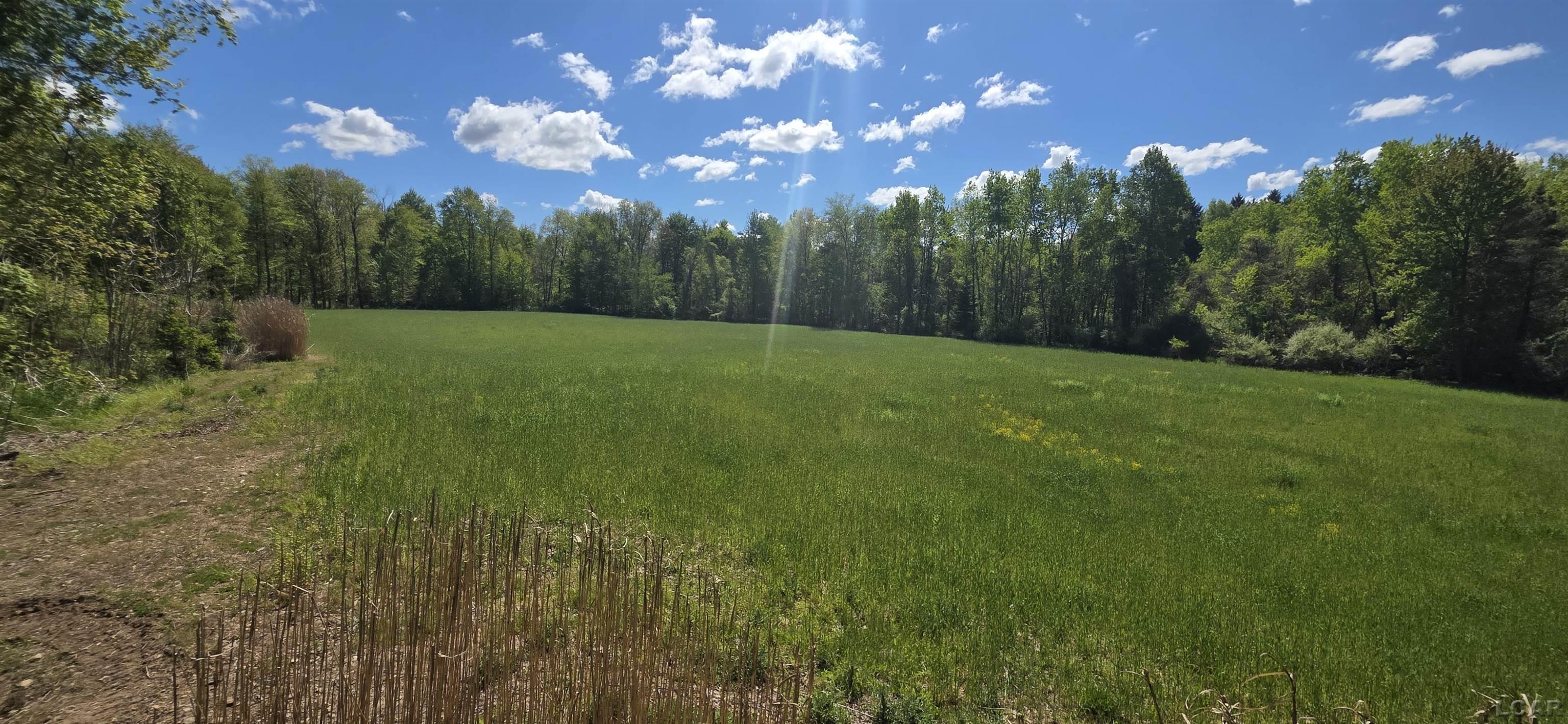 15252 27 Mile Road Property Photo 10