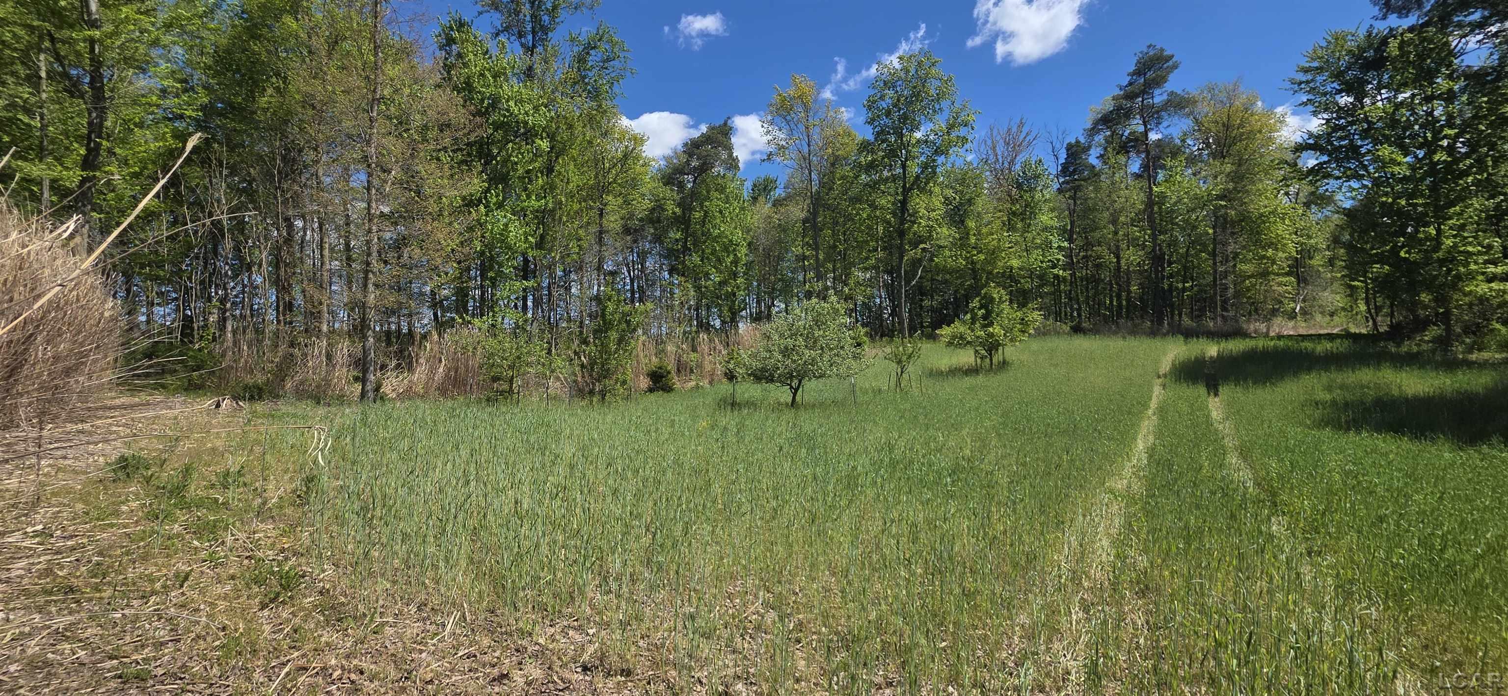 15252 27 Mile Road Property Photo 11