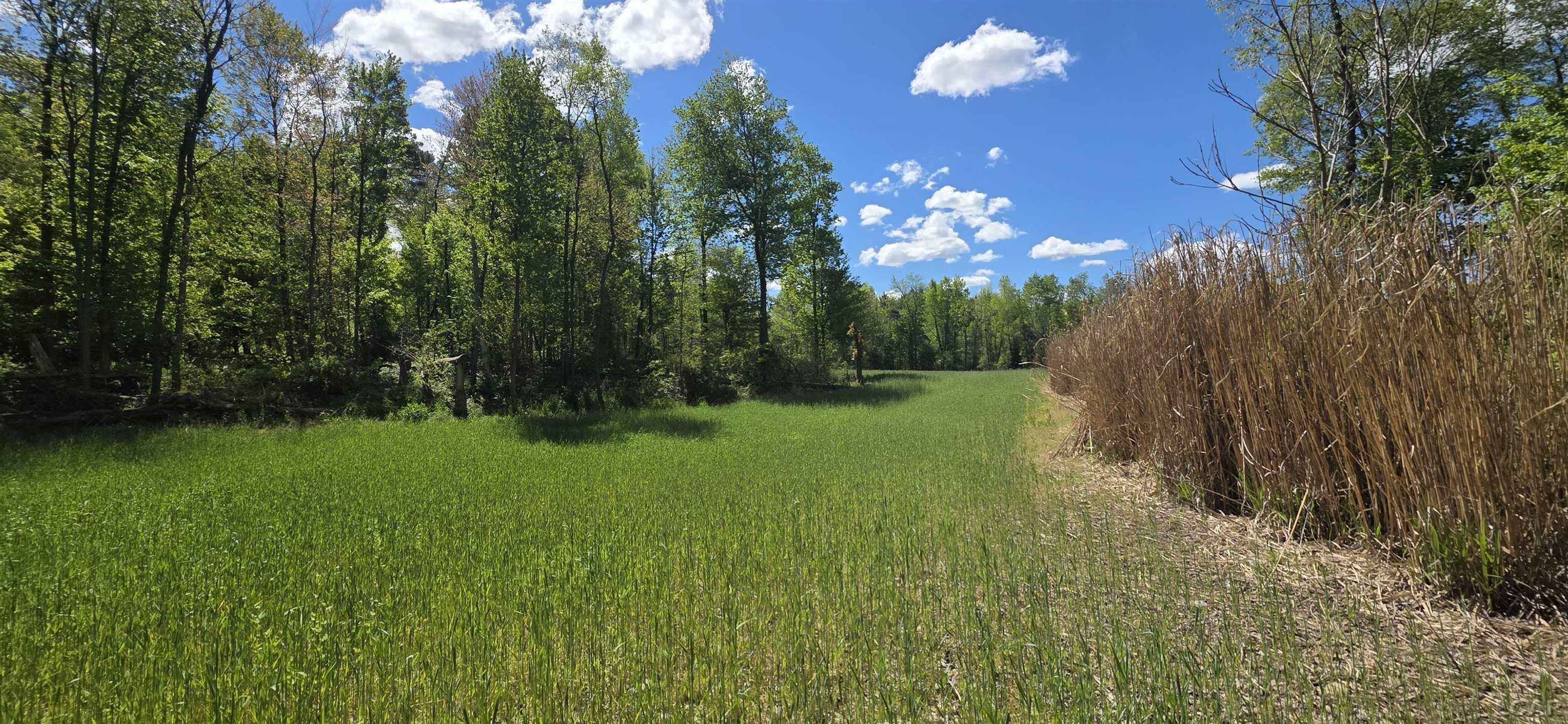15252 27 Mile Road Property Photo 12