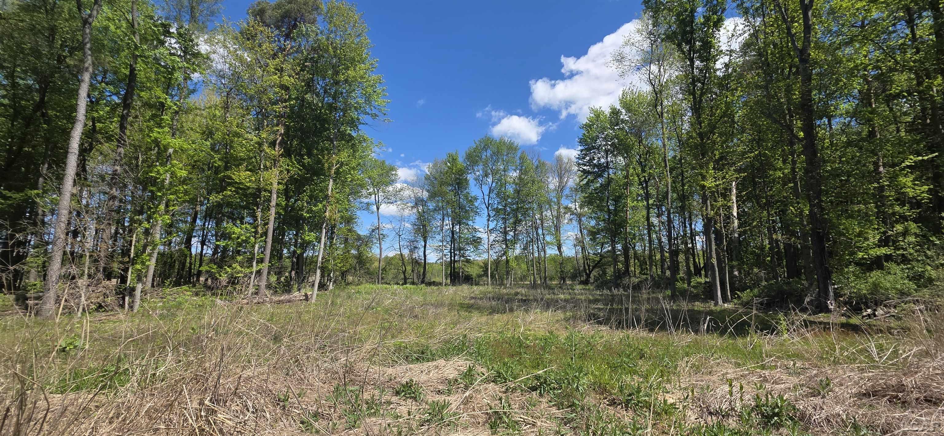 15252 27 Mile Road Property Photo 14