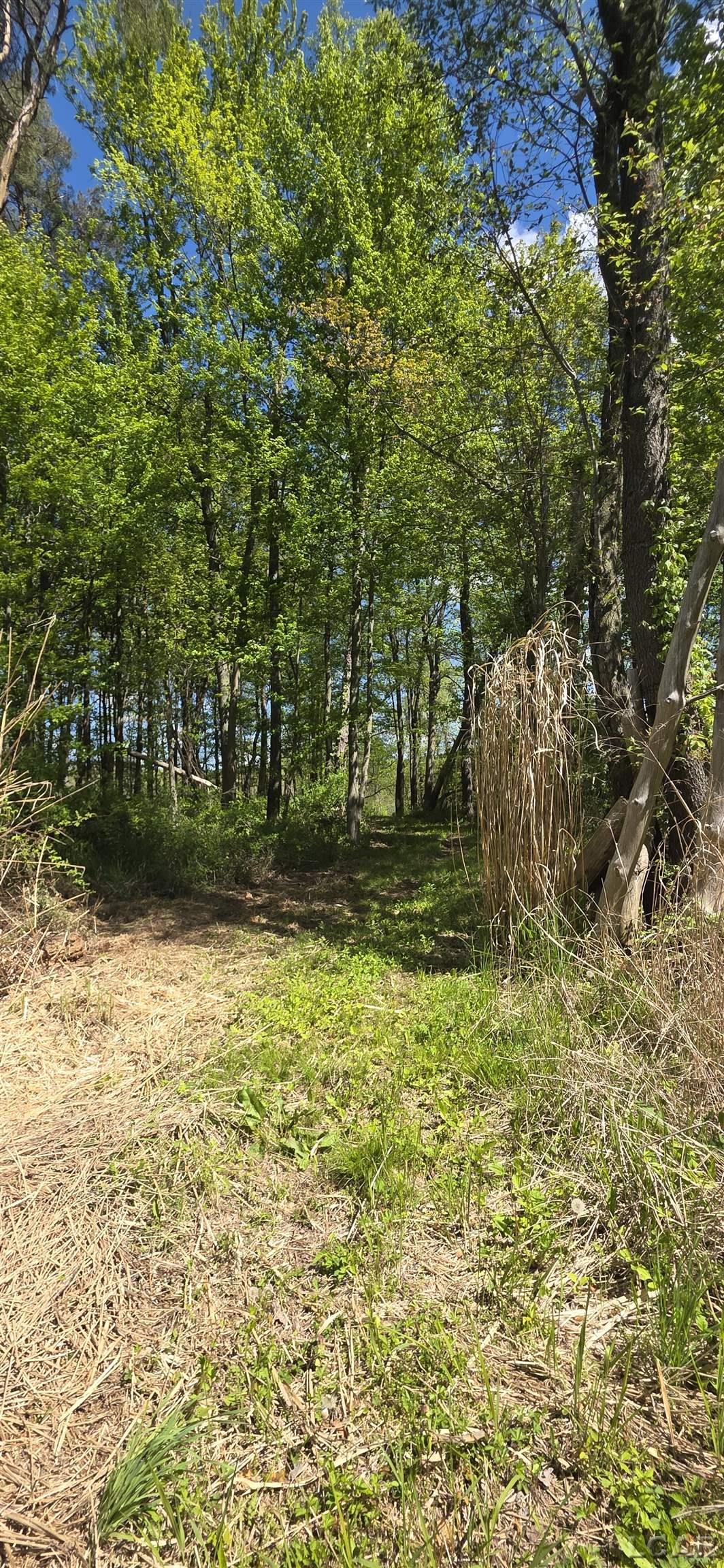 15252 27 Mile Road Property Photo 16