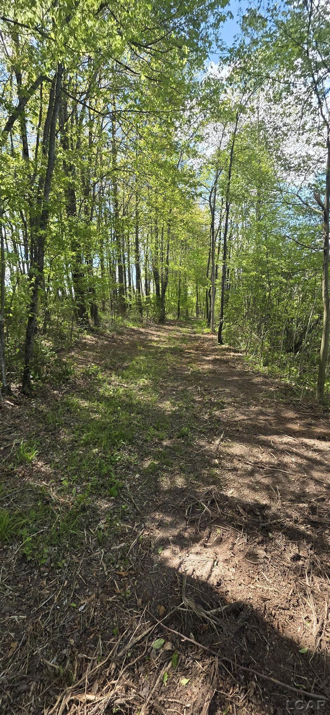 15252 27 Mile Road Property Photo 17