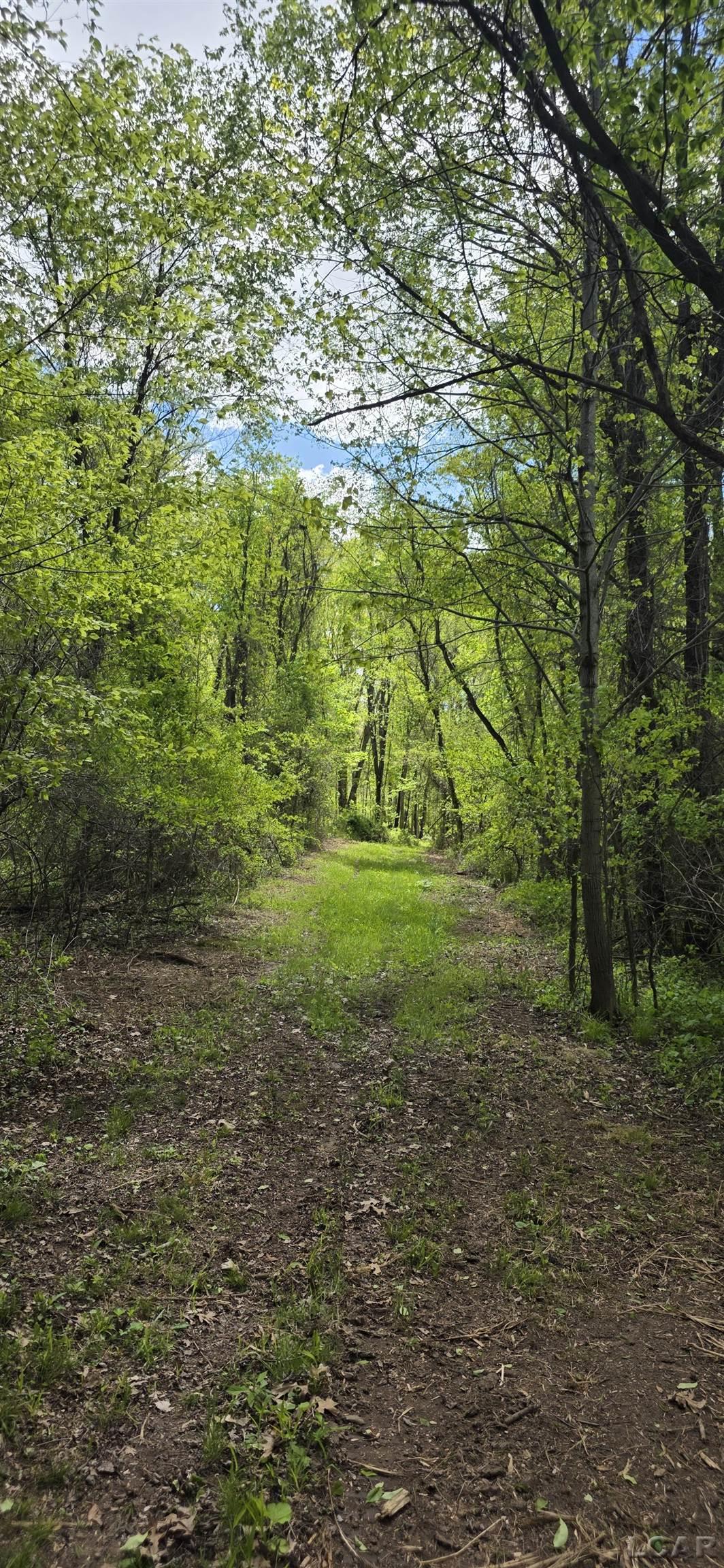 15252 27 Mile Road Property Photo 18
