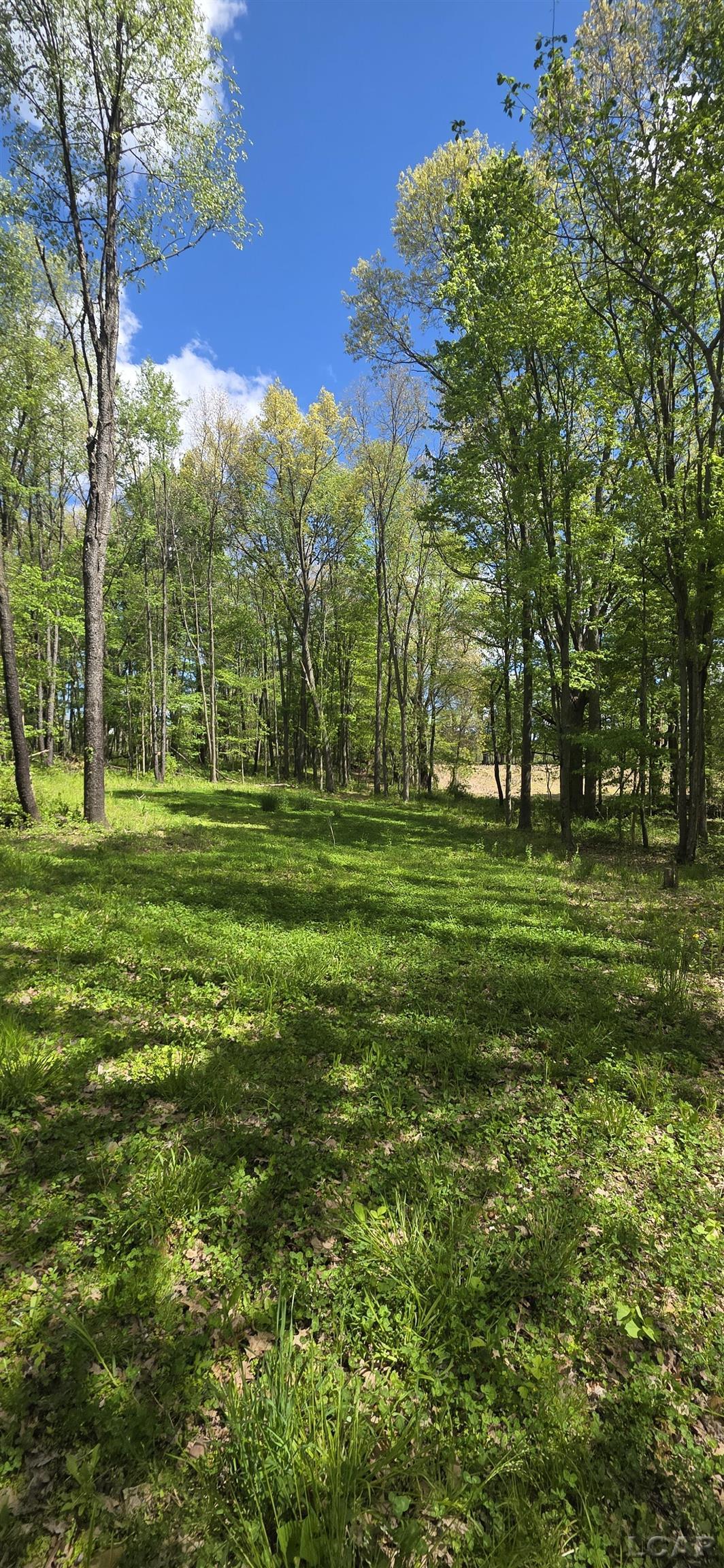 15252 27 Mile Road Property Photo 19