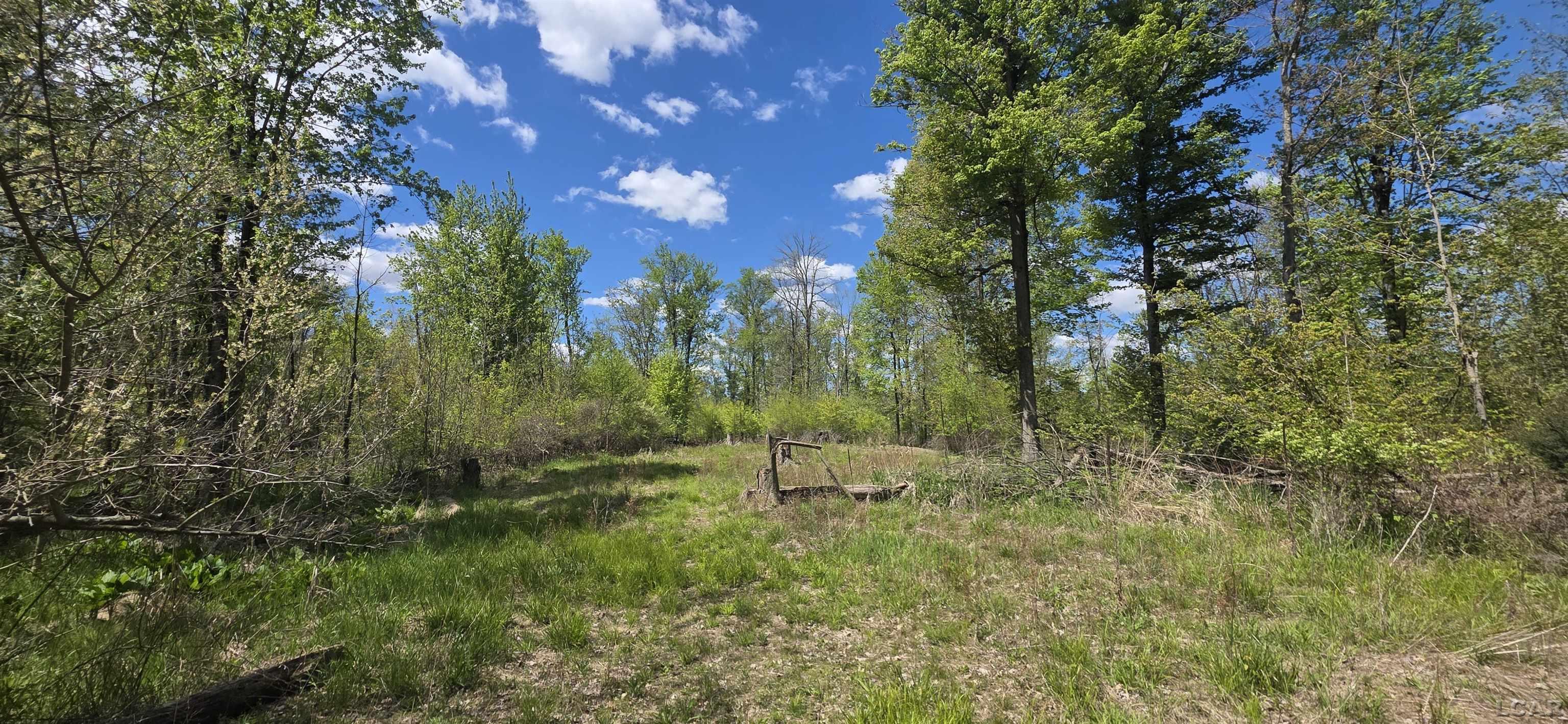 15252 27 Mile Road Property Photo 20