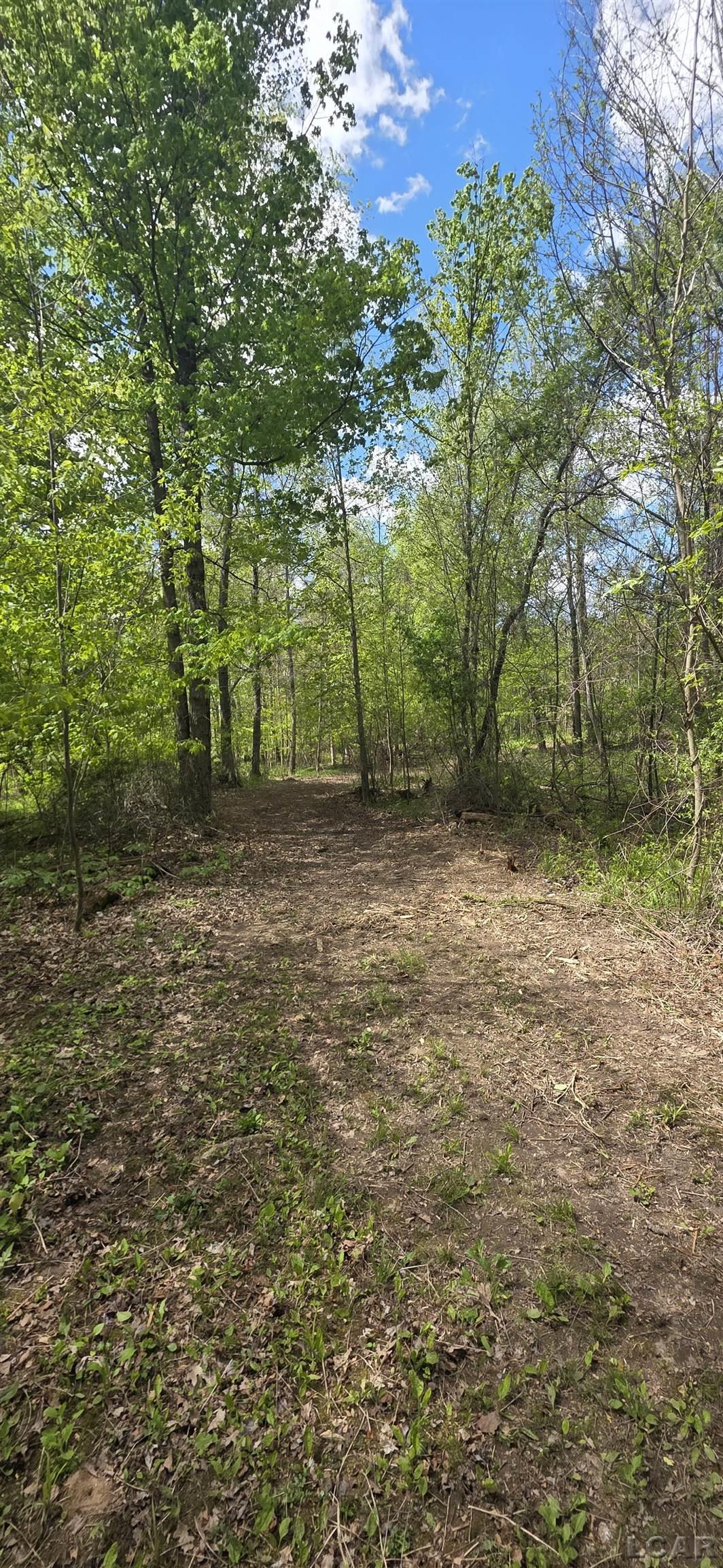 15252 27 Mile Road Property Photo 21