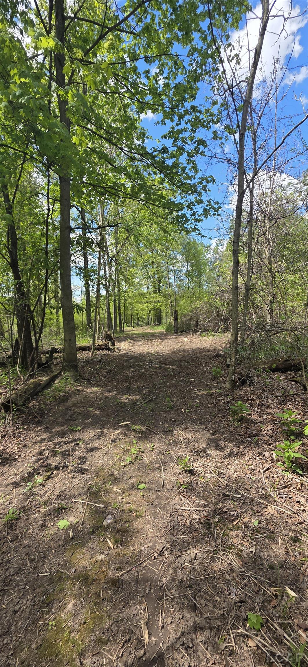 15252 27 Mile Road Property Photo 22