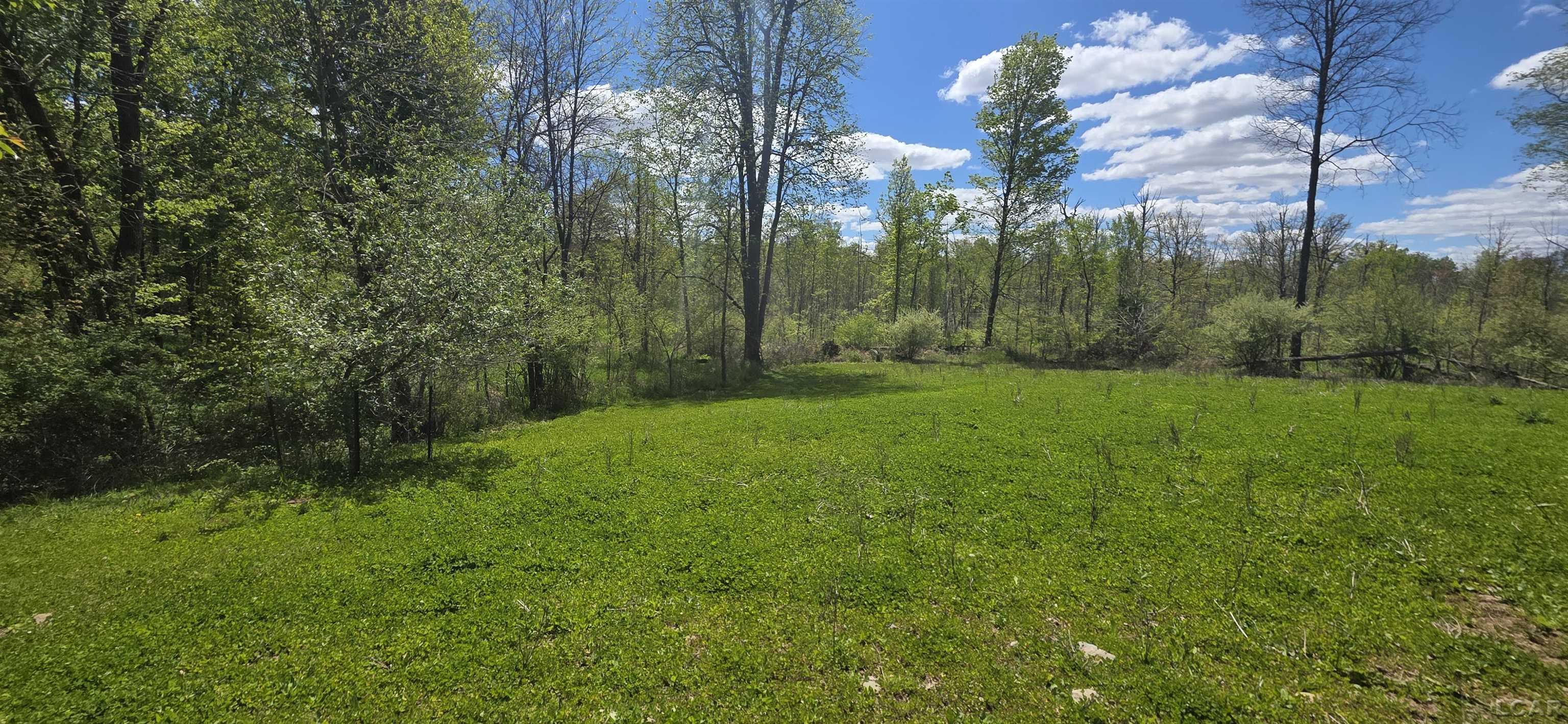 15252 27 Mile Road Property Photo 23