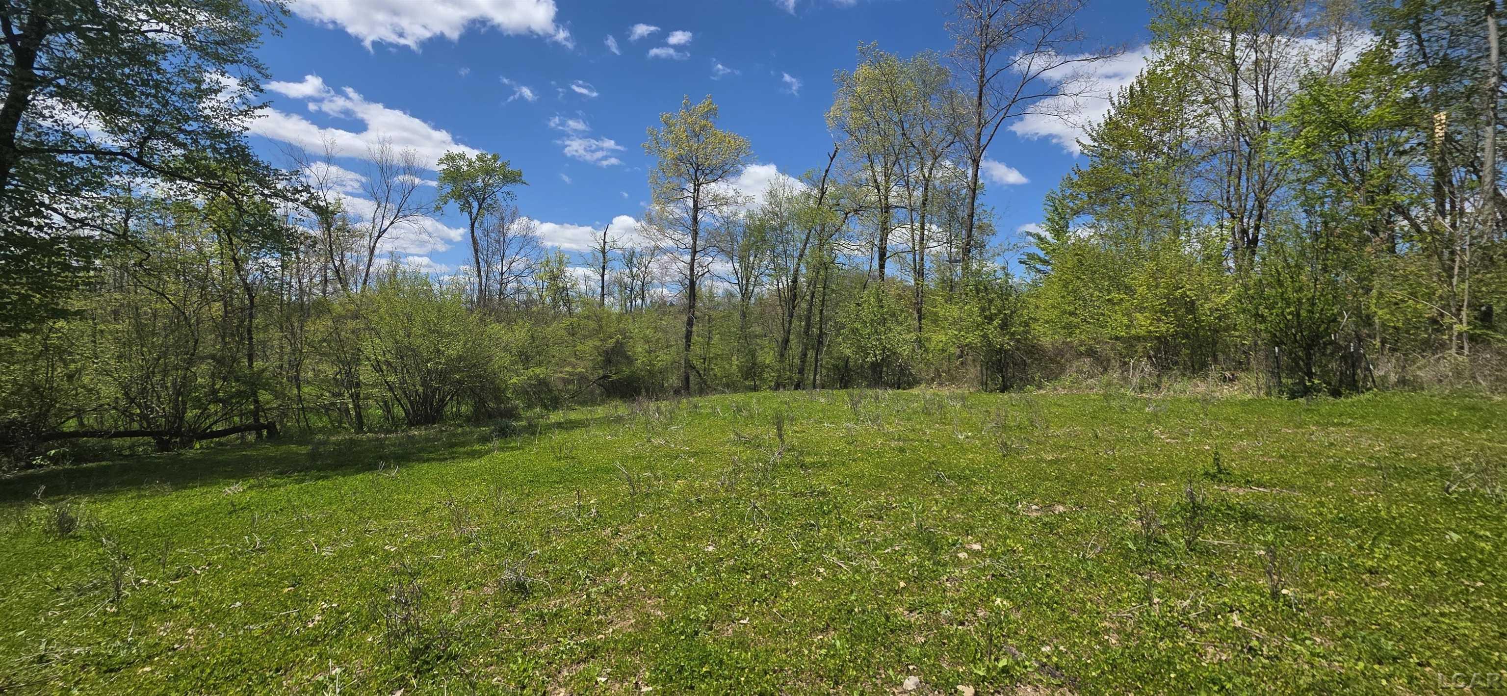 15252 27 Mile Road Property Photo 24