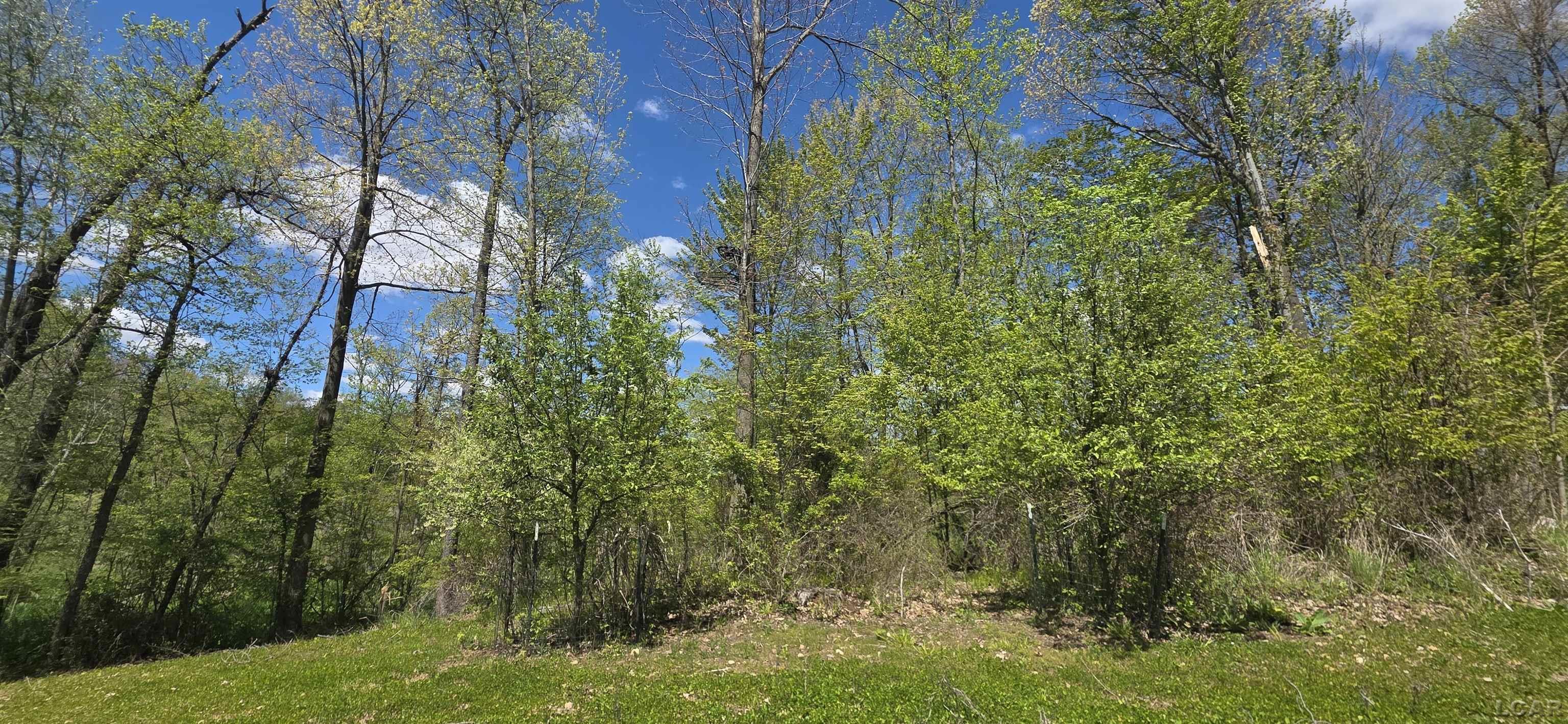 15252 27 Mile Road Property Photo 25