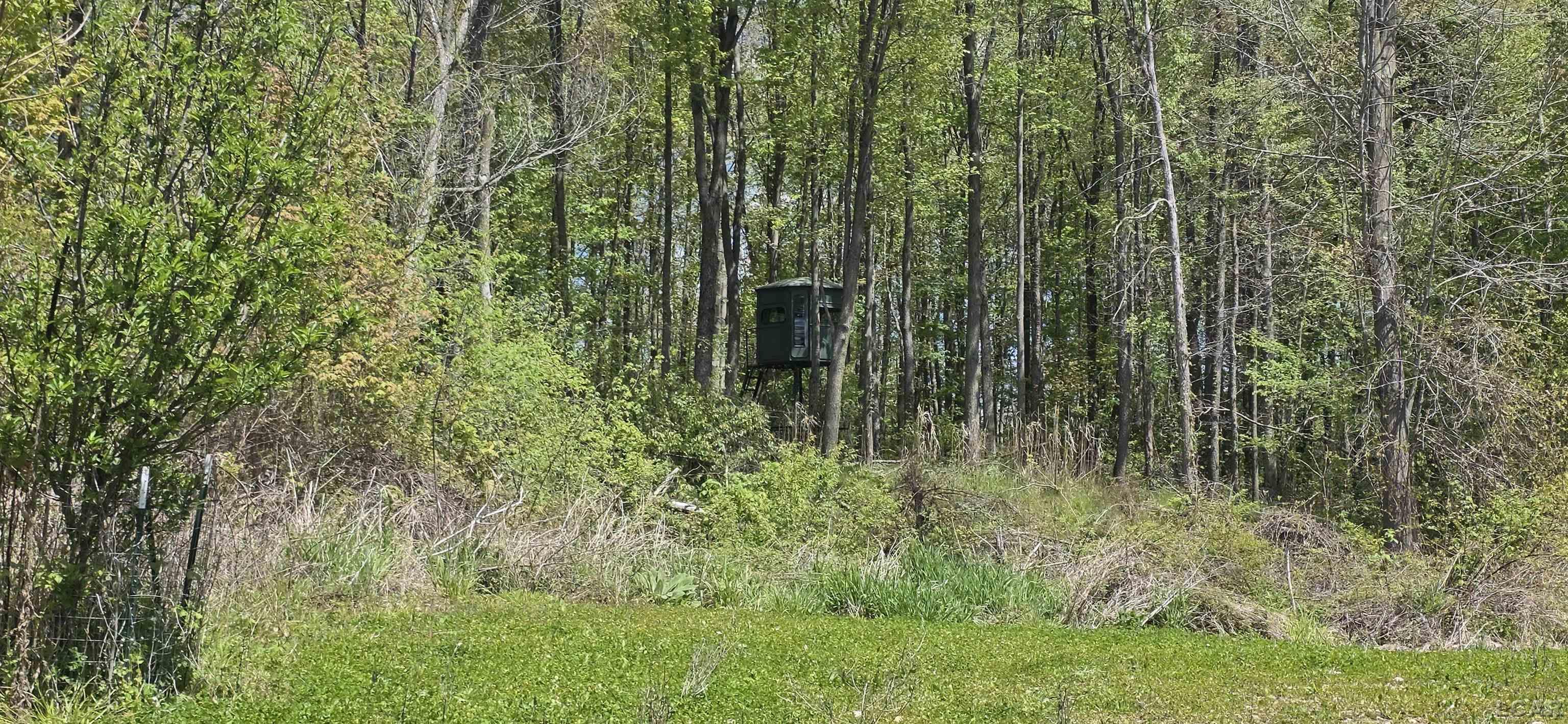 15252 27 Mile Road Property Photo 26