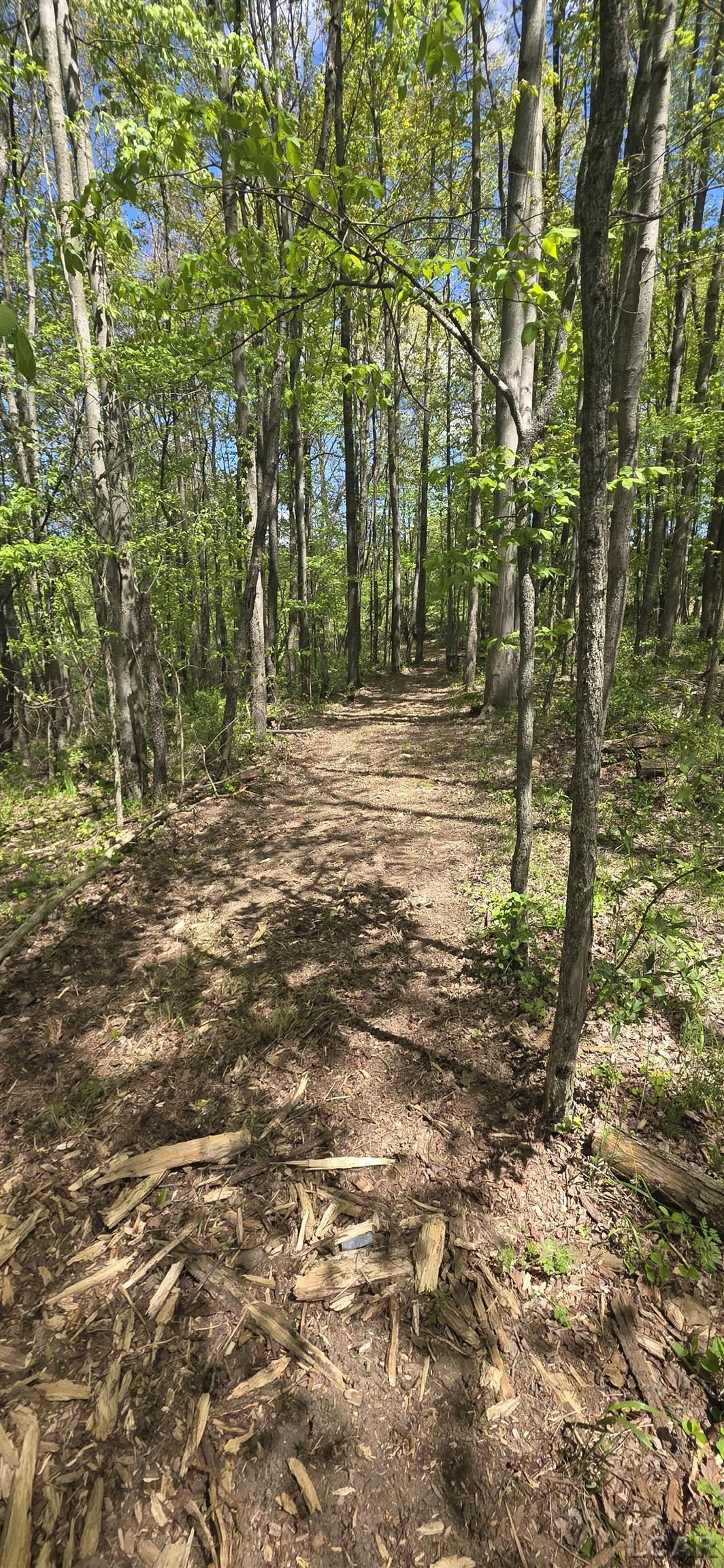 15252 27 Mile Road Property Photo 28