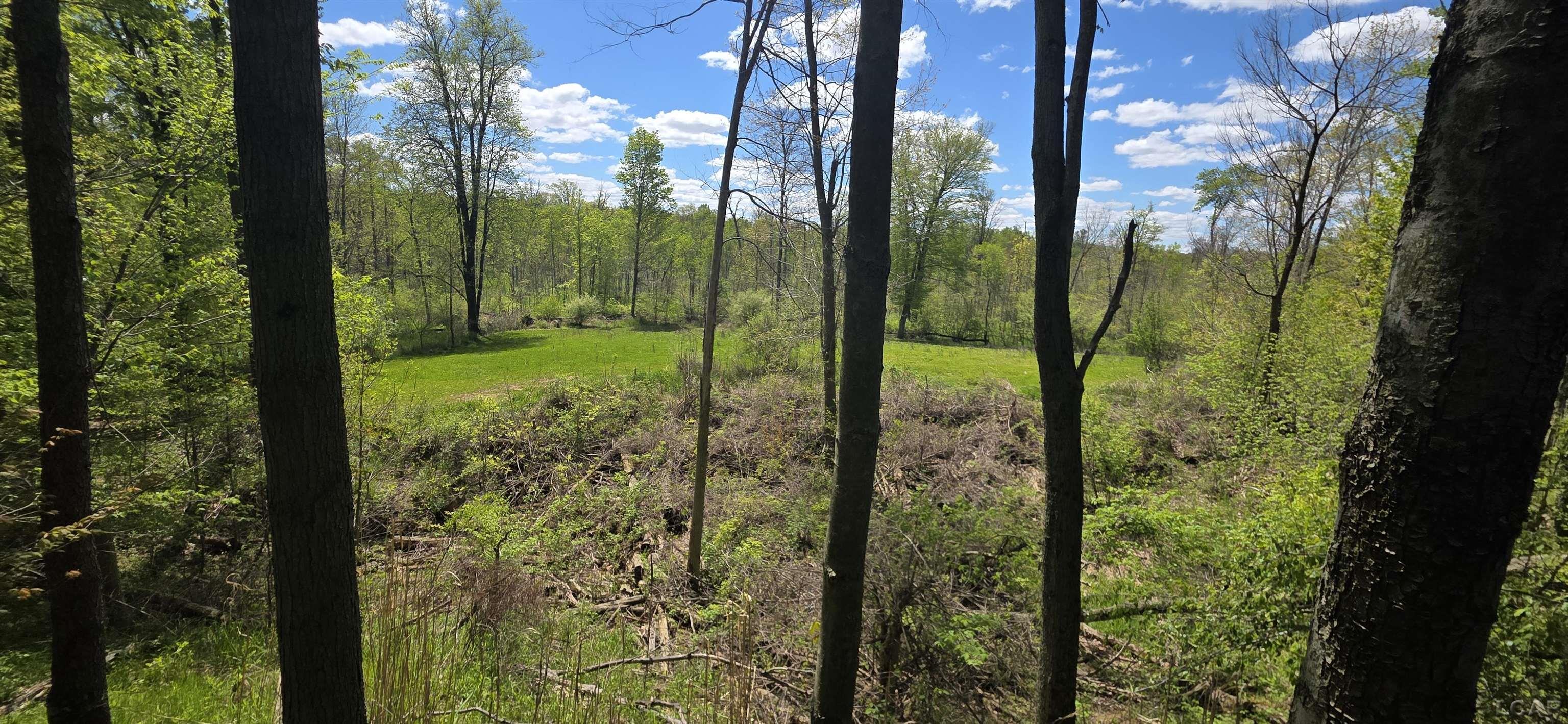 15252 27 Mile Road Property Photo 29