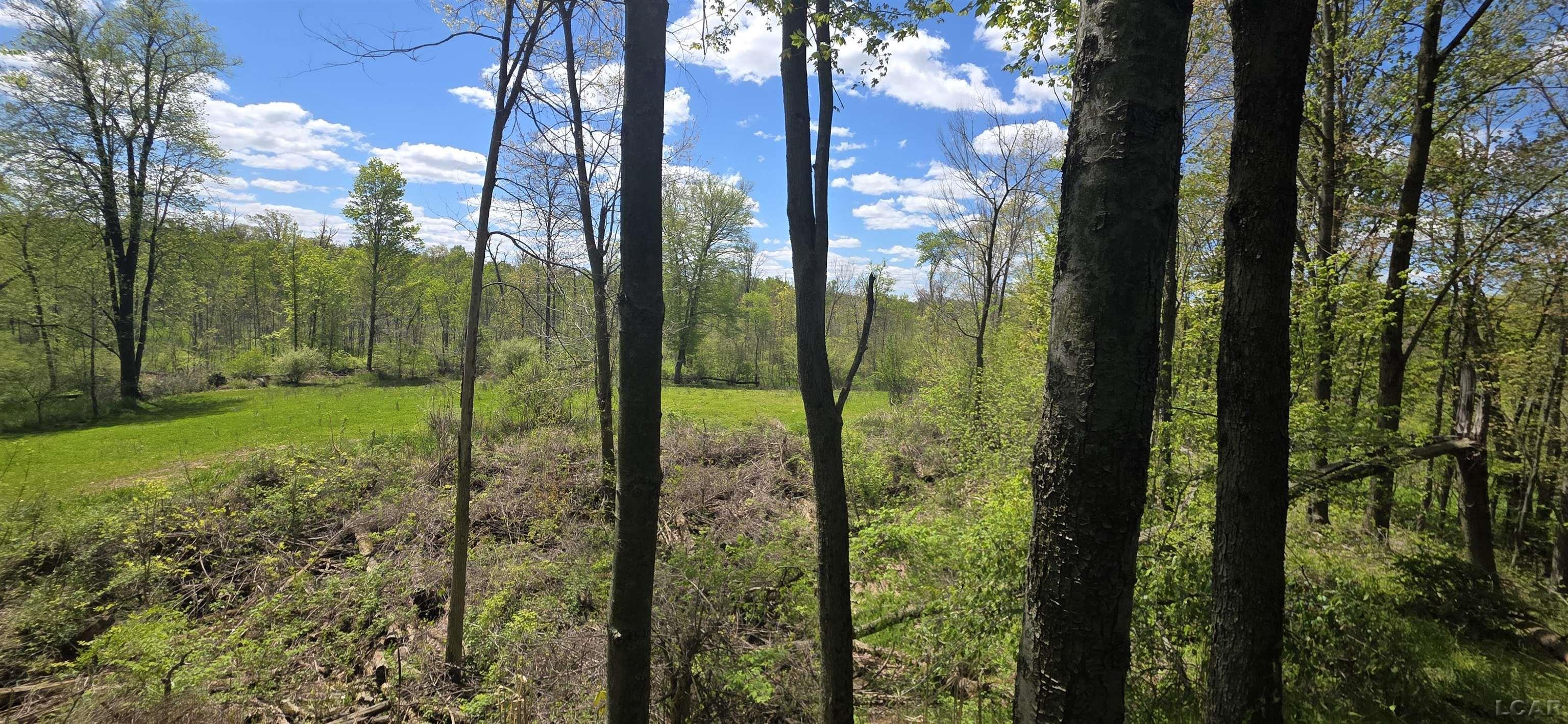 15252 27 Mile Road Property Photo 30