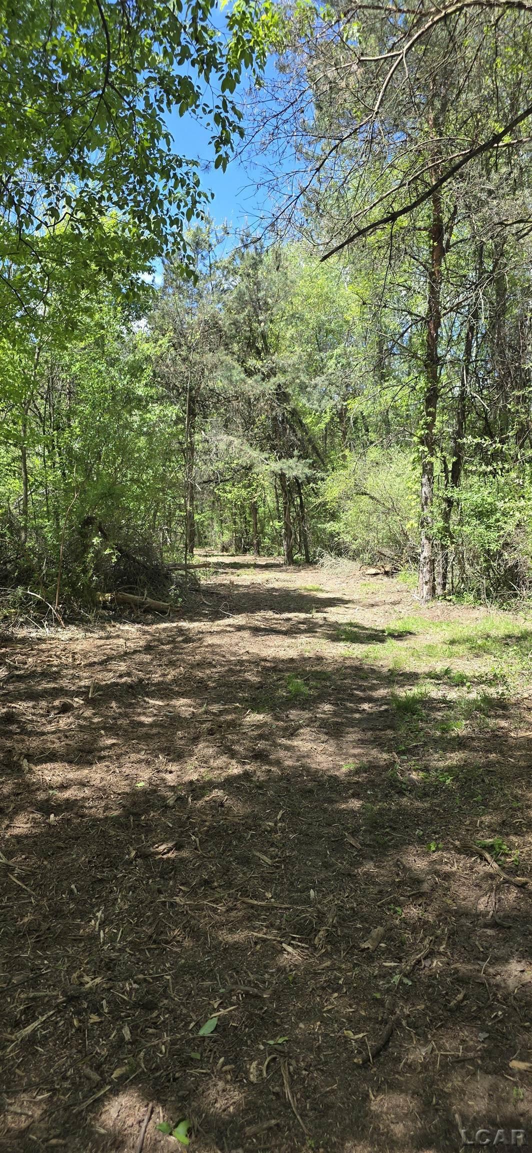15252 27 Mile Road Property Photo 31