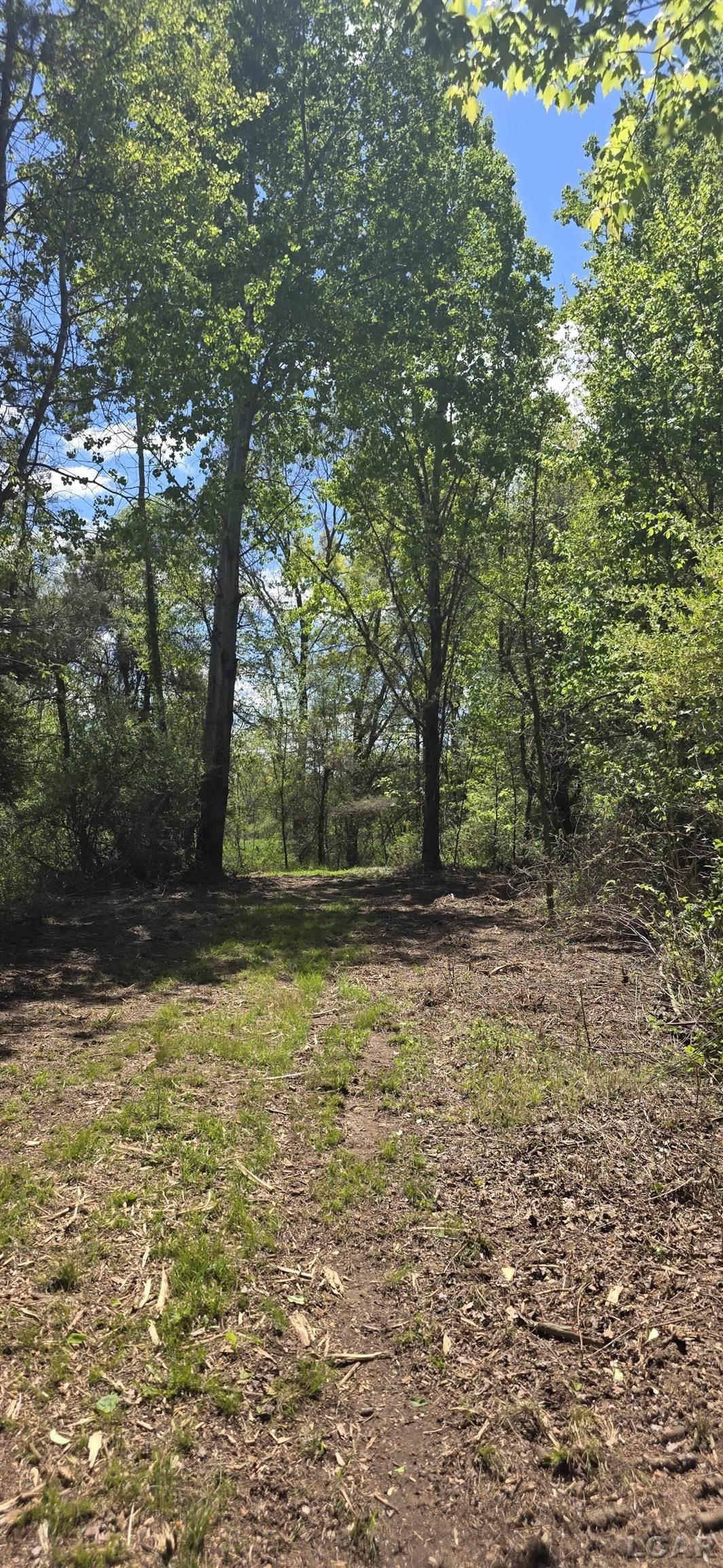 15252 27 Mile Road Property Photo 32
