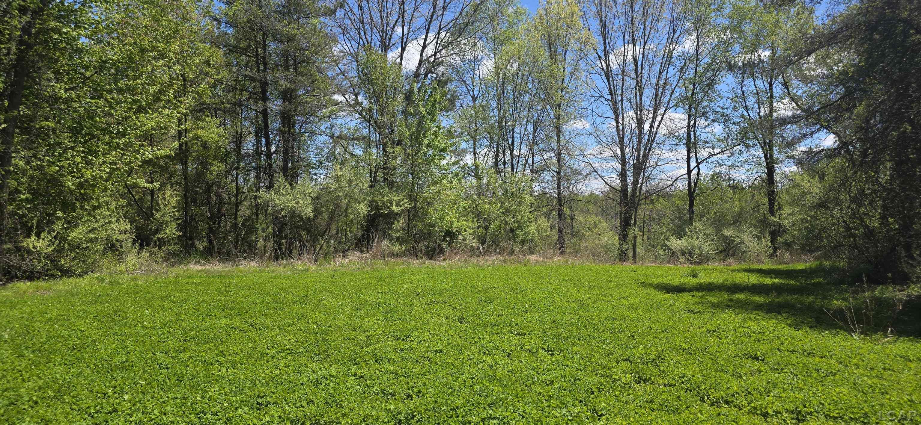 15252 27 Mile Road Property Photo 33