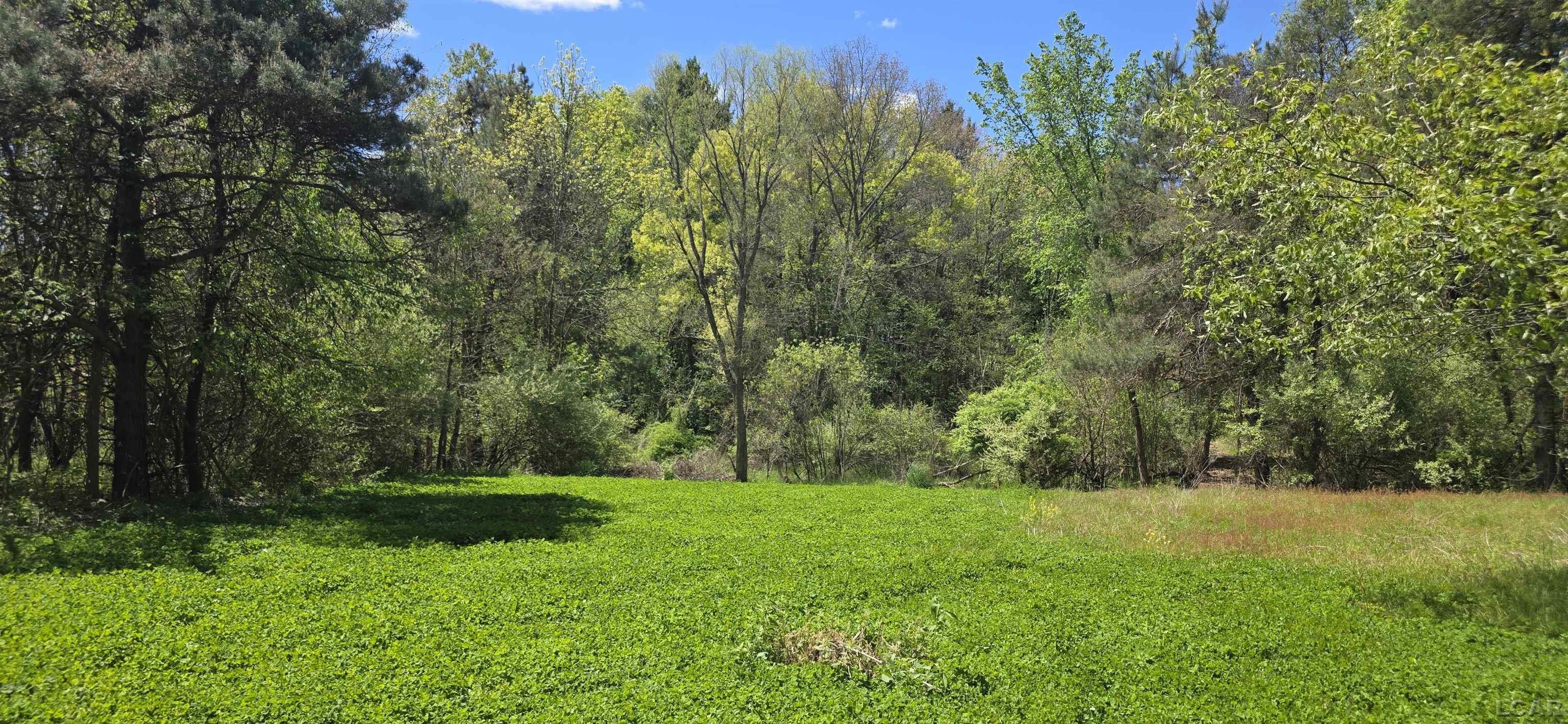 15252 27 Mile Road Property Photo 34