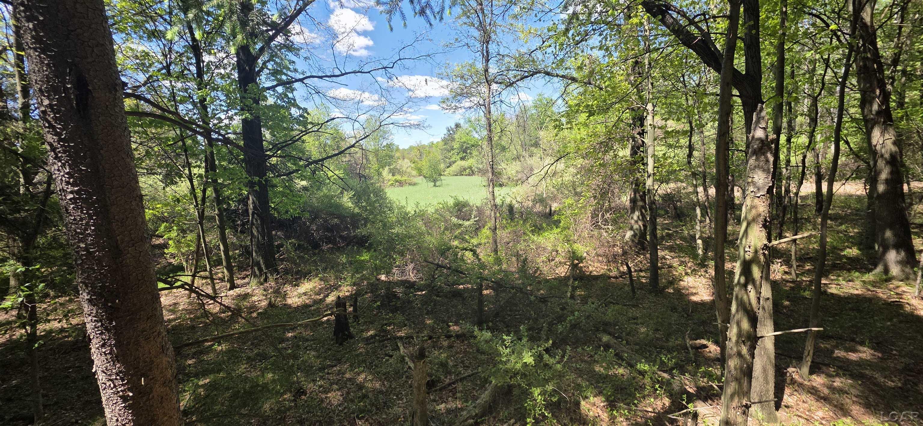 15252 27 Mile Road Property Photo 37