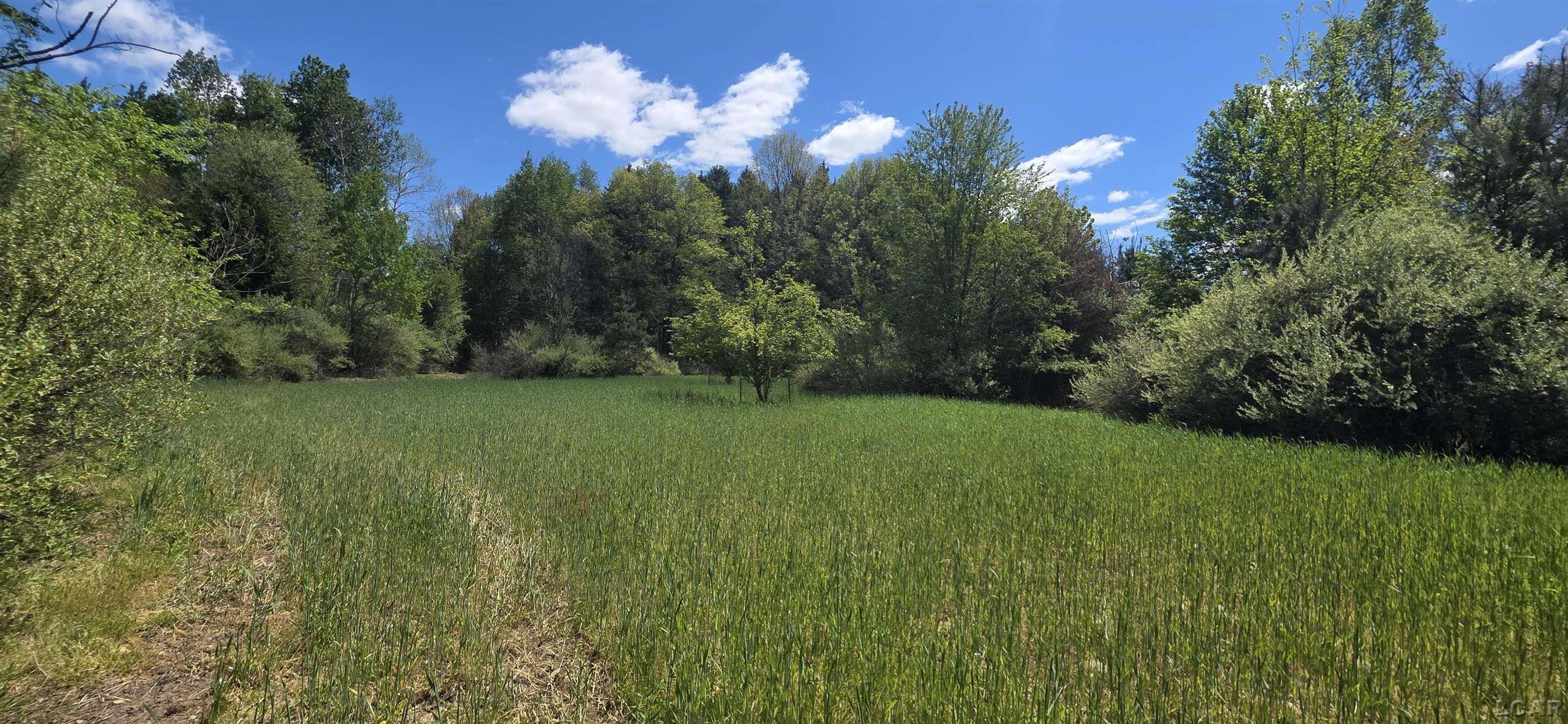 15252 27 Mile Road Property Photo 39