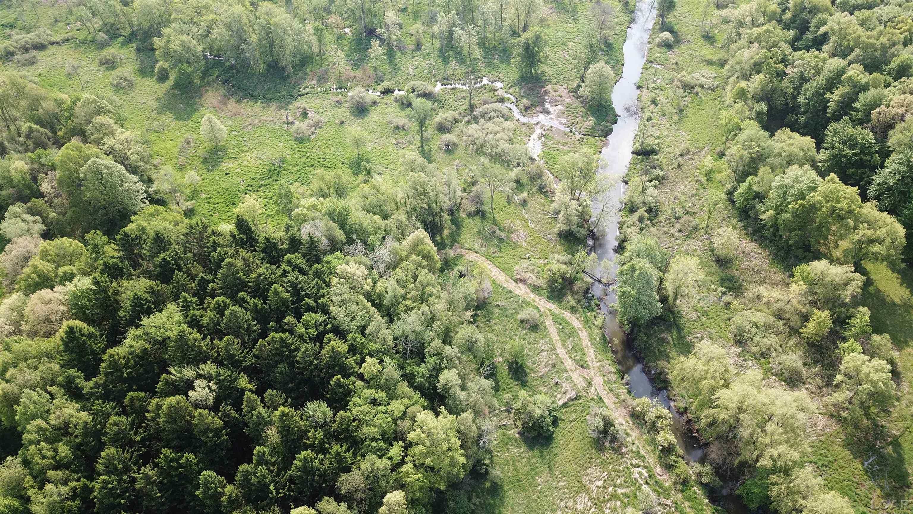 15252 27 Mile Road Property Photo 42