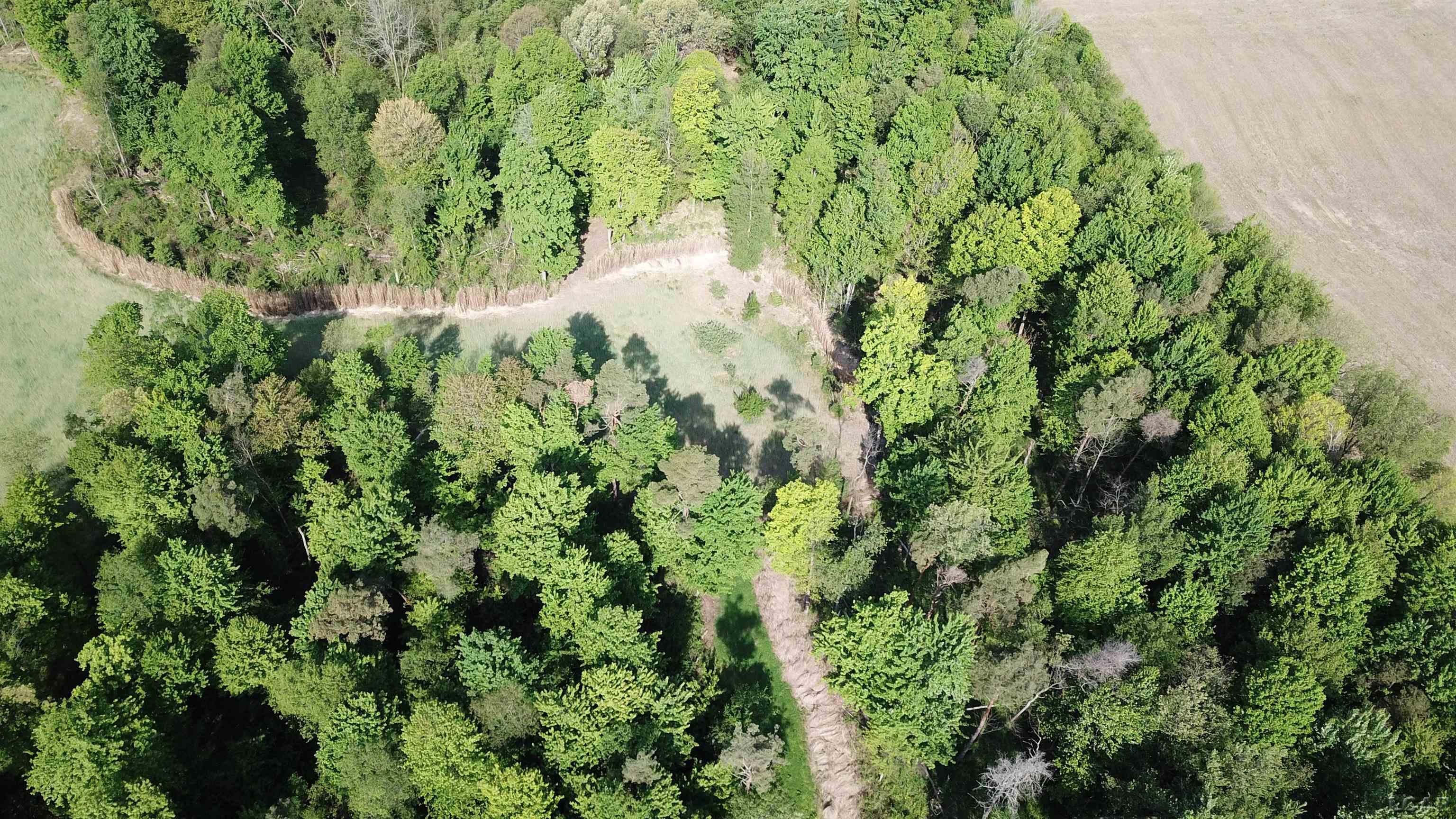 15252 27 Mile Road Property Photo 52