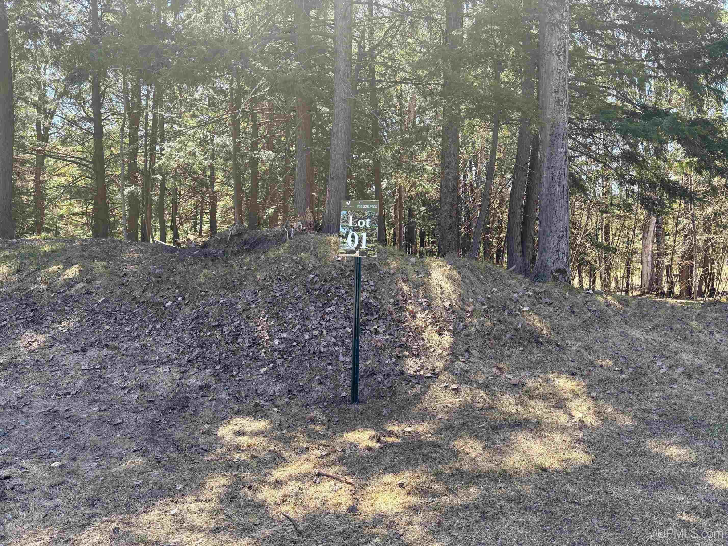 3100 Hemlock Drive