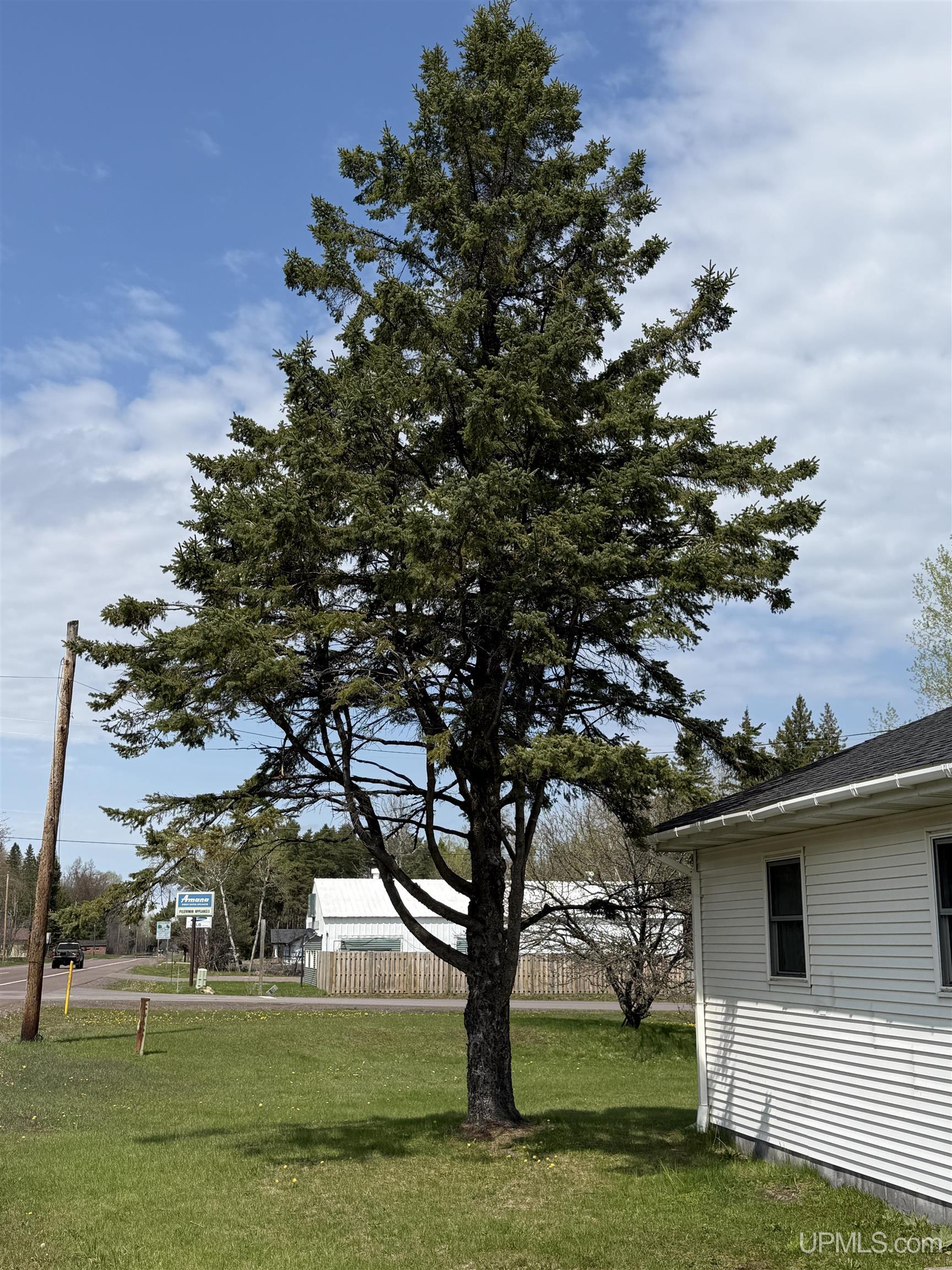42976 Willson Memorial Drive Property Photo 3