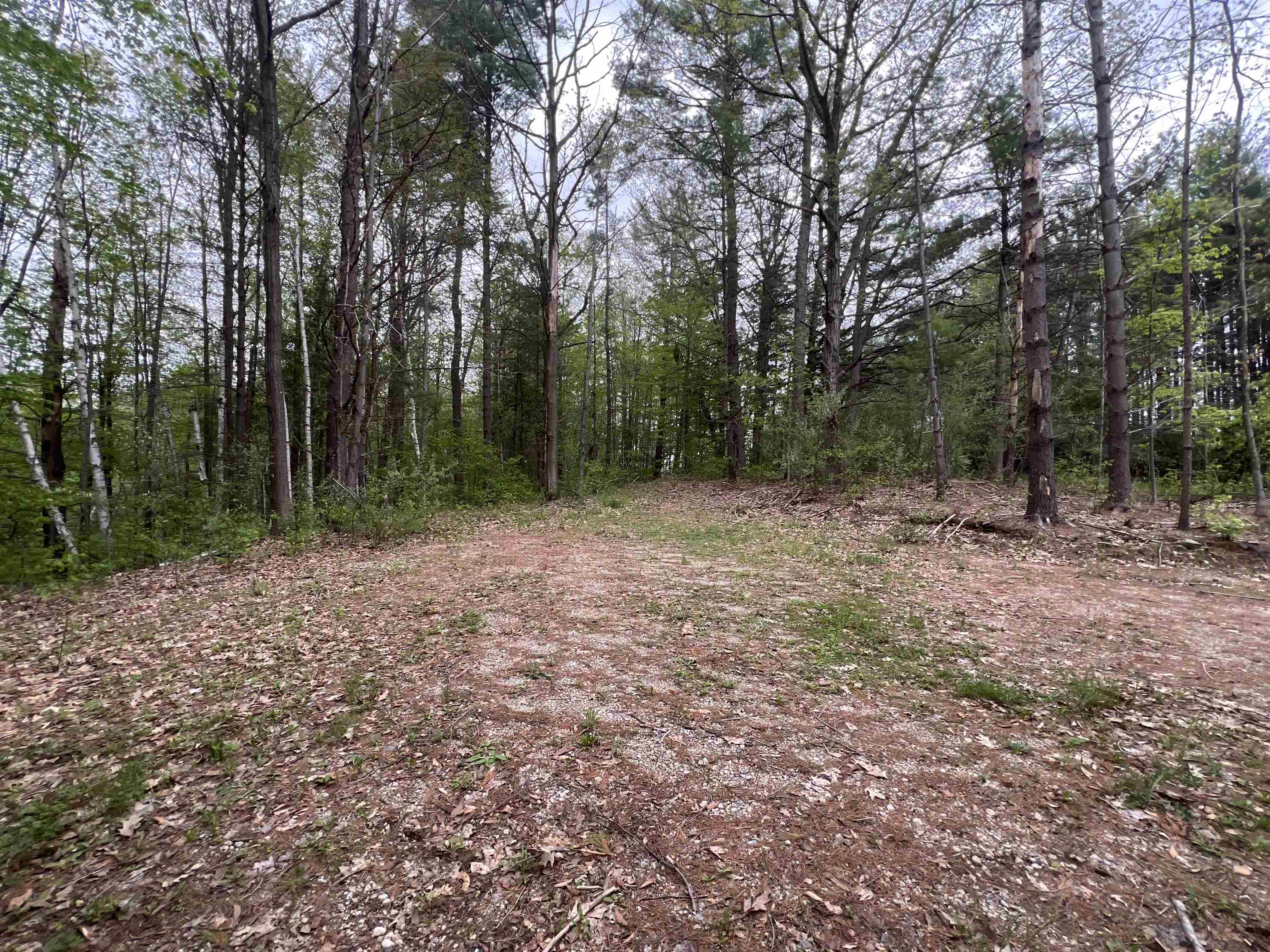 8919 E Gladwin Road Property Photo 2