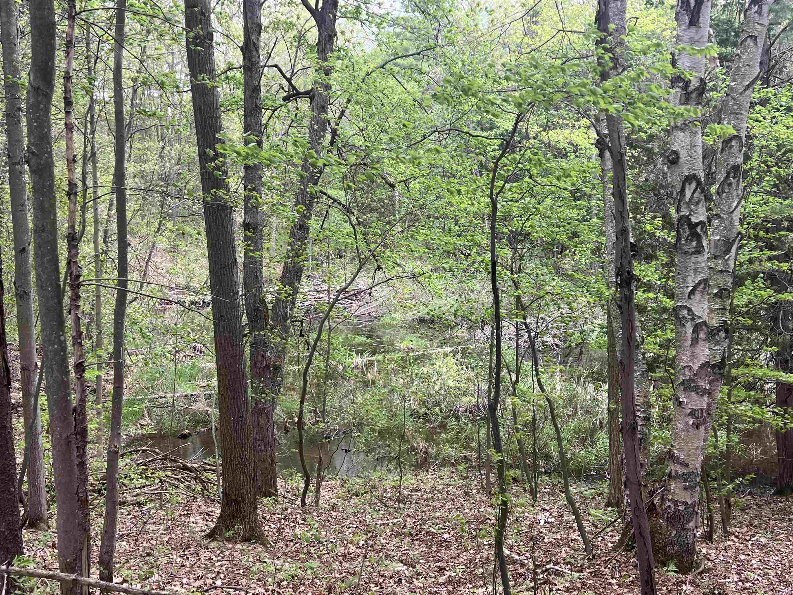 8919 E Gladwin Road Property Photo 7
