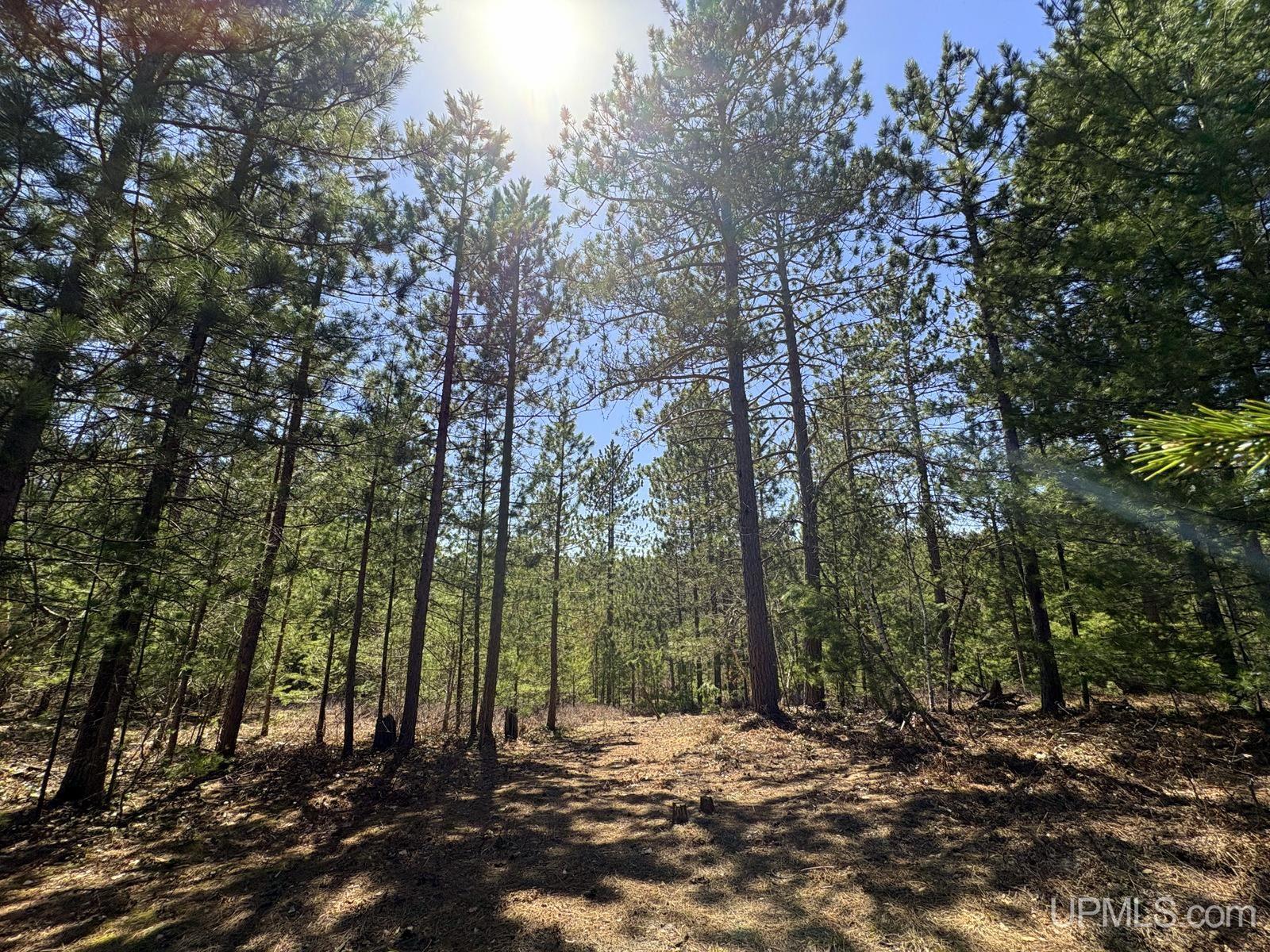 Tbd Valley Road Property Photo 2