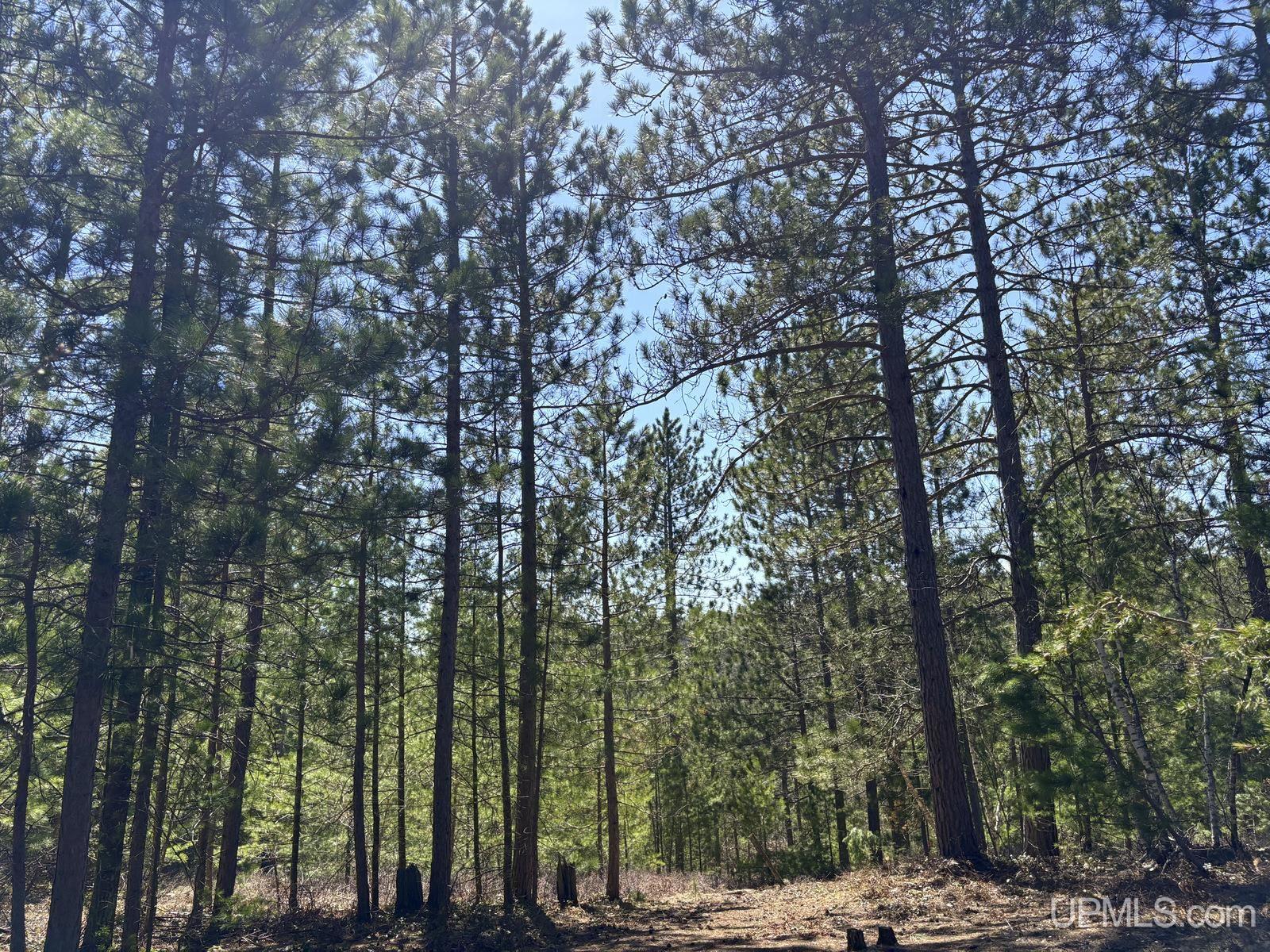 Tbd Valley Road Property Photo 6