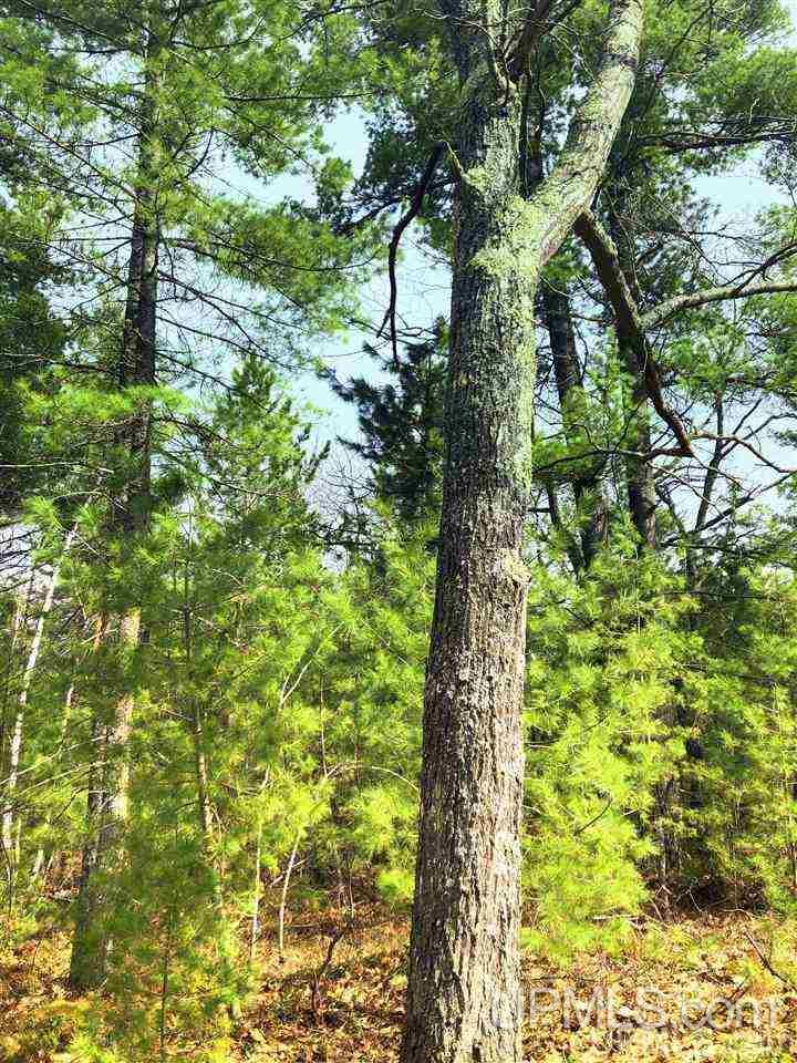 Tbd Valley Road Property Photo 9