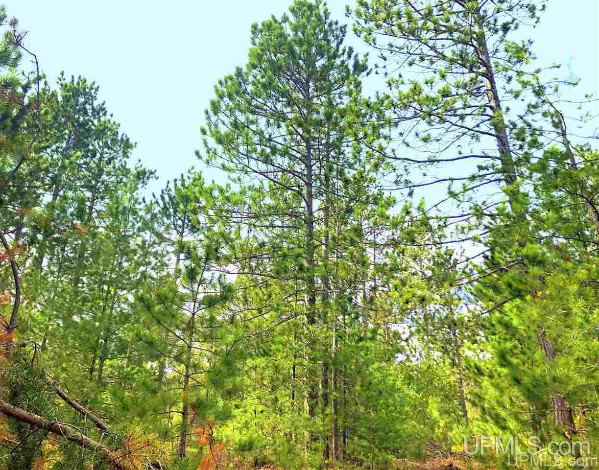 Tbd Valley Road Property Photo 12