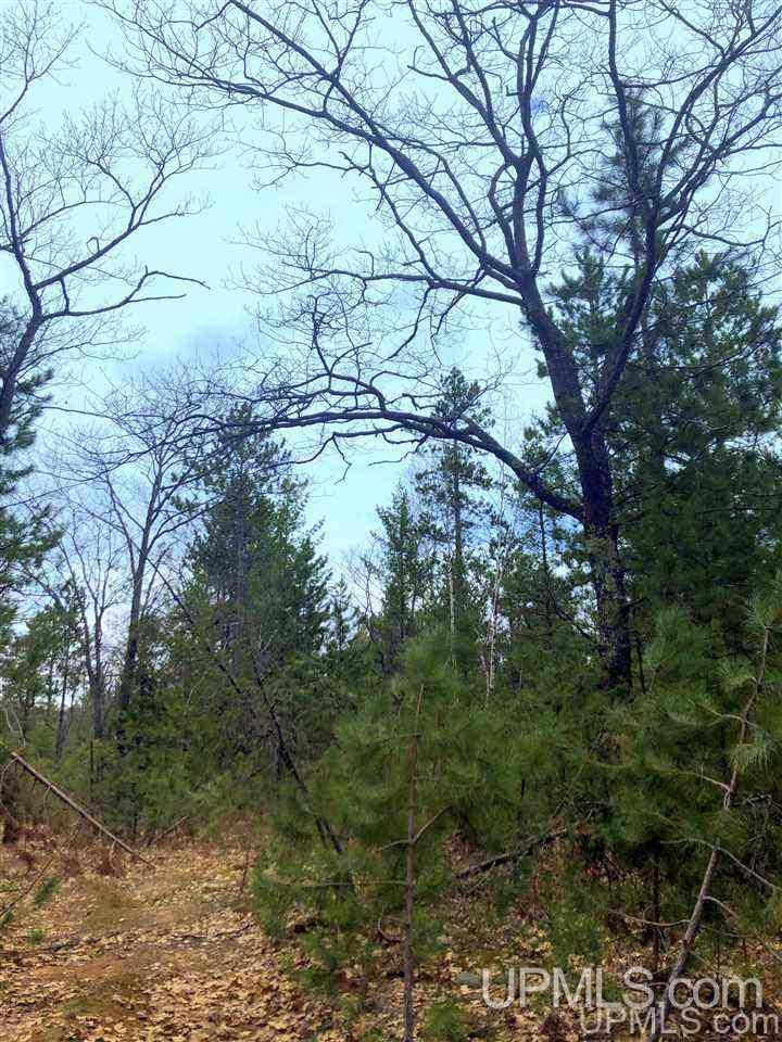 Tbd Valley Road Property Photo 15