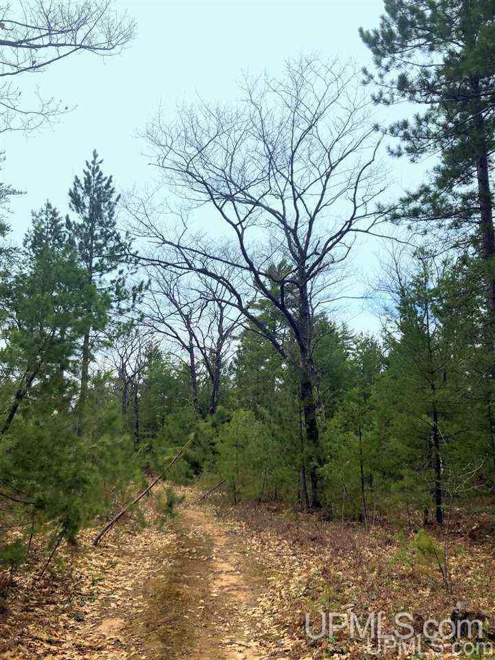Tbd Valley Road Property Photo 17
