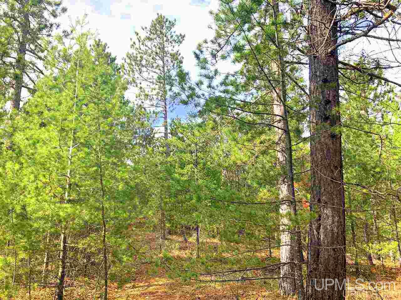 Tbd Valley Road Property Photo 25