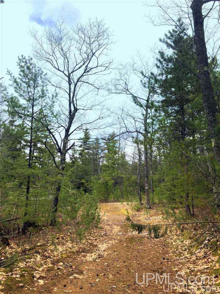 Tbd Valley Road Property Photo 28