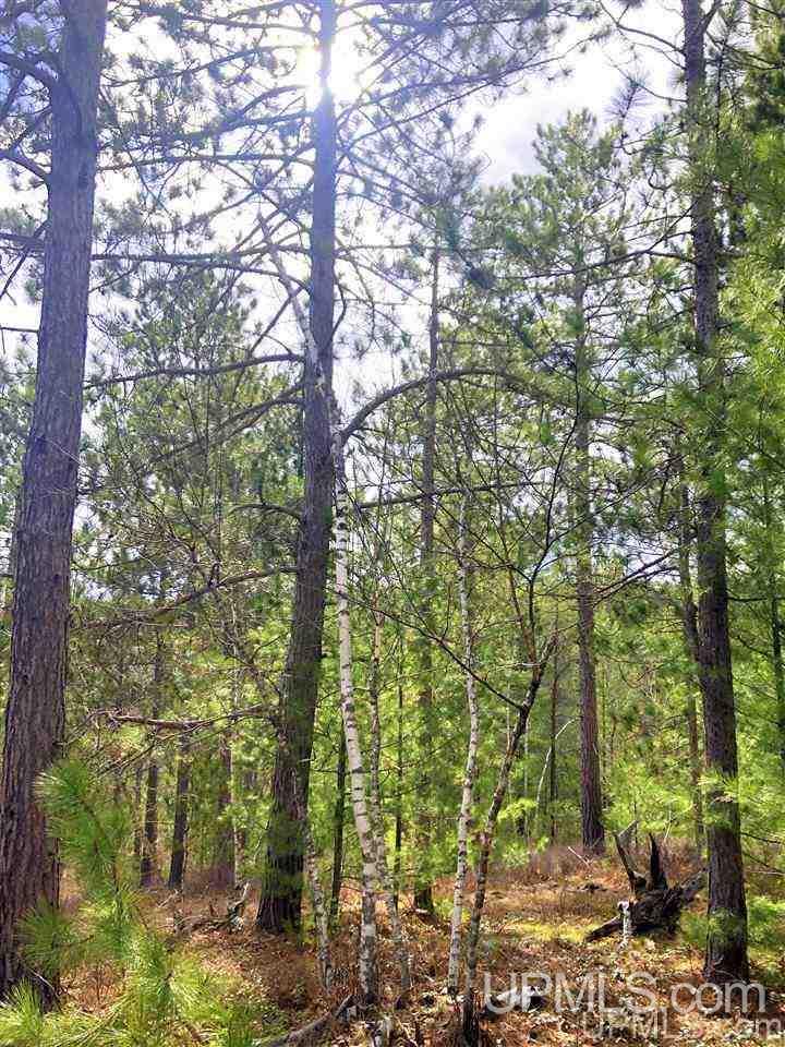 Tbd Valley Road Property Photo 33