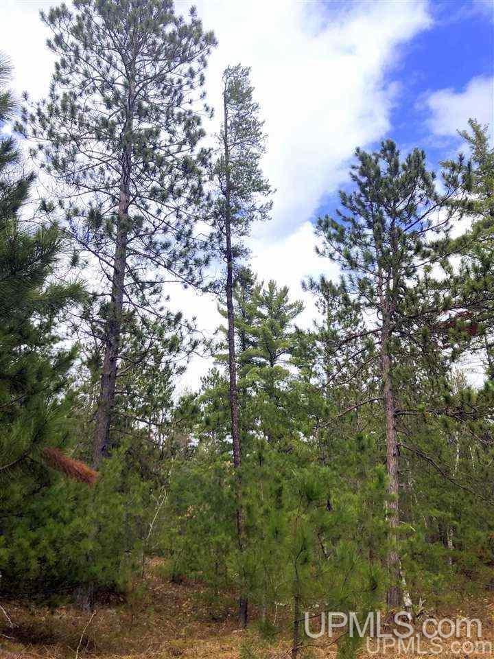 Tbd Valley Road Property Photo 34