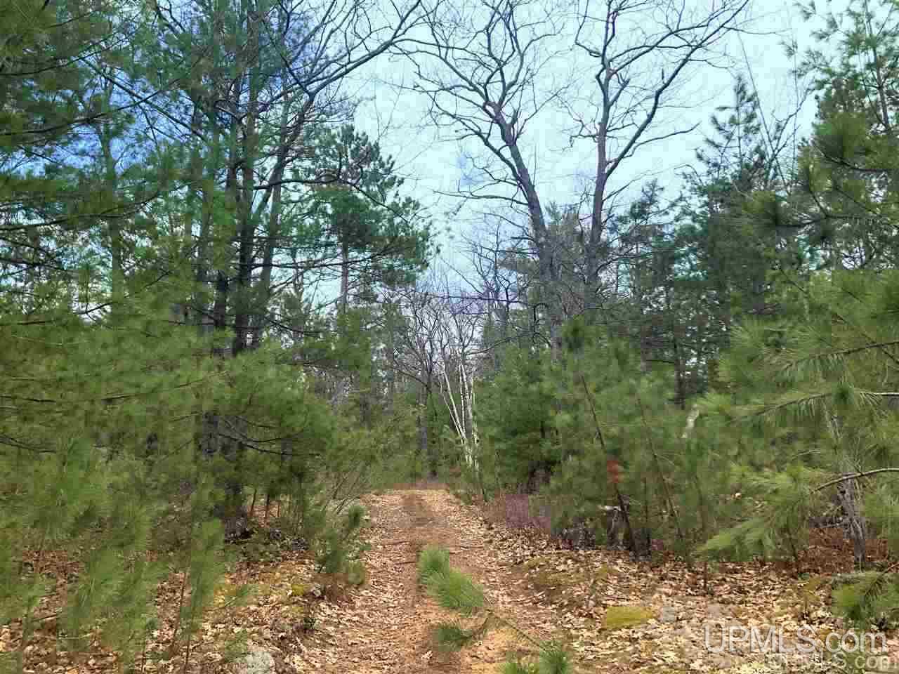 Tbd Valley Road Property Photo 35