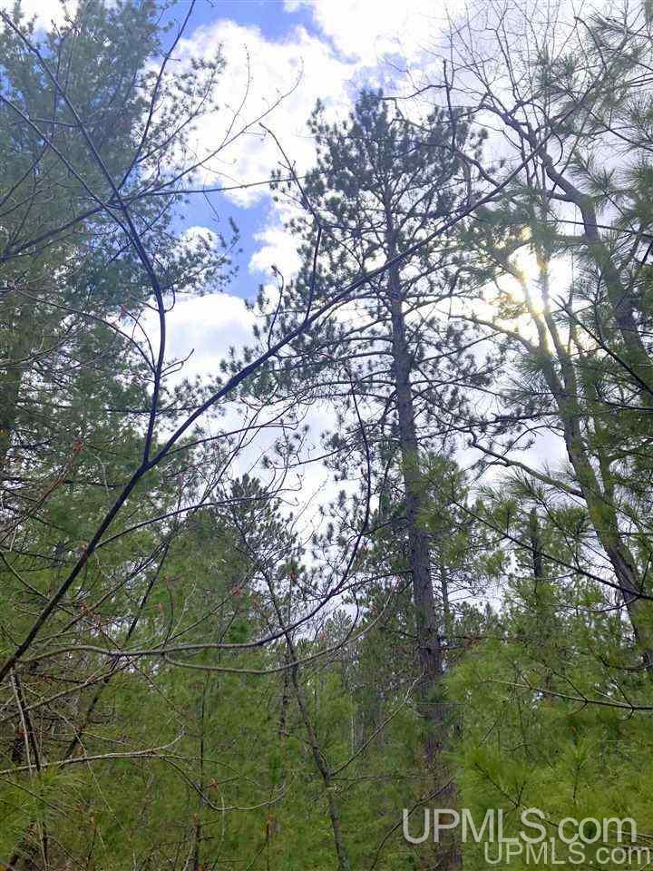 Tbd Valley Road Property Photo 37